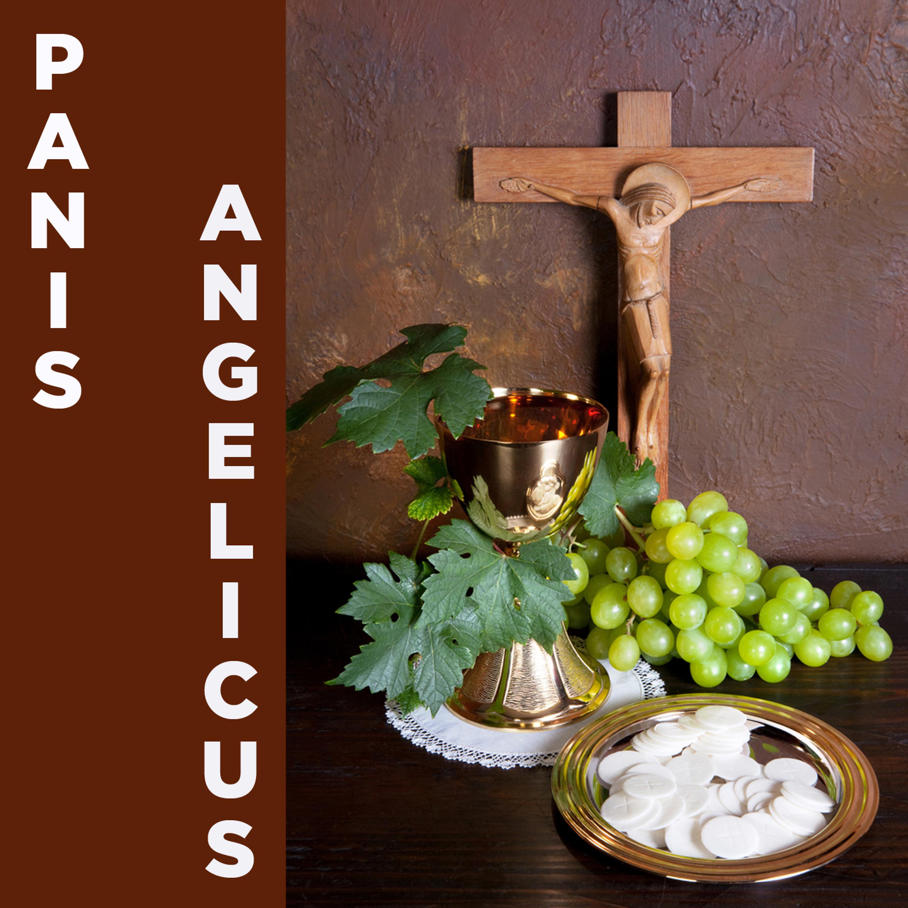 Постер альбома Panis Angelicus: 20 Catholic Songs of Prayer
