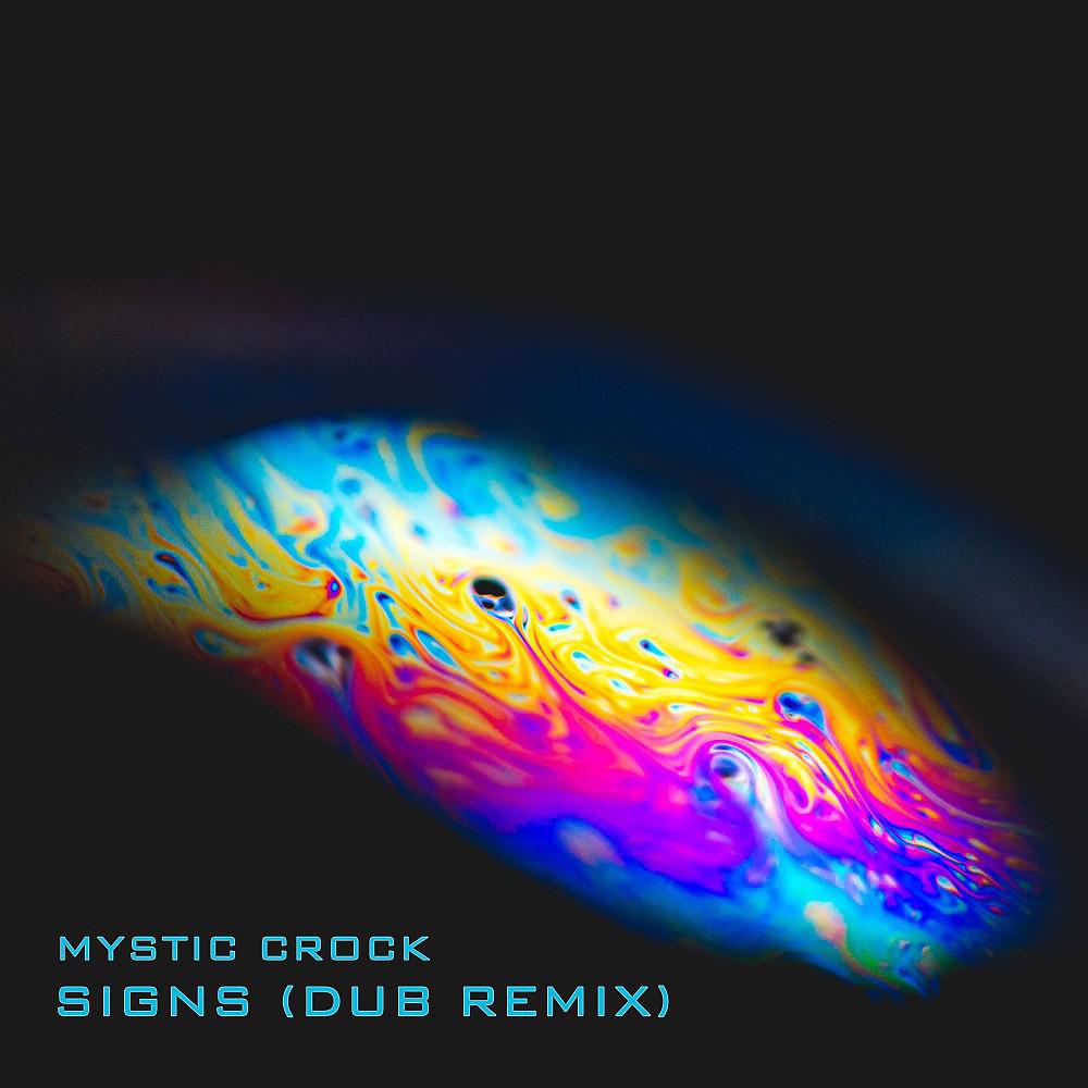 Постер альбома Signs (Dub Remix)