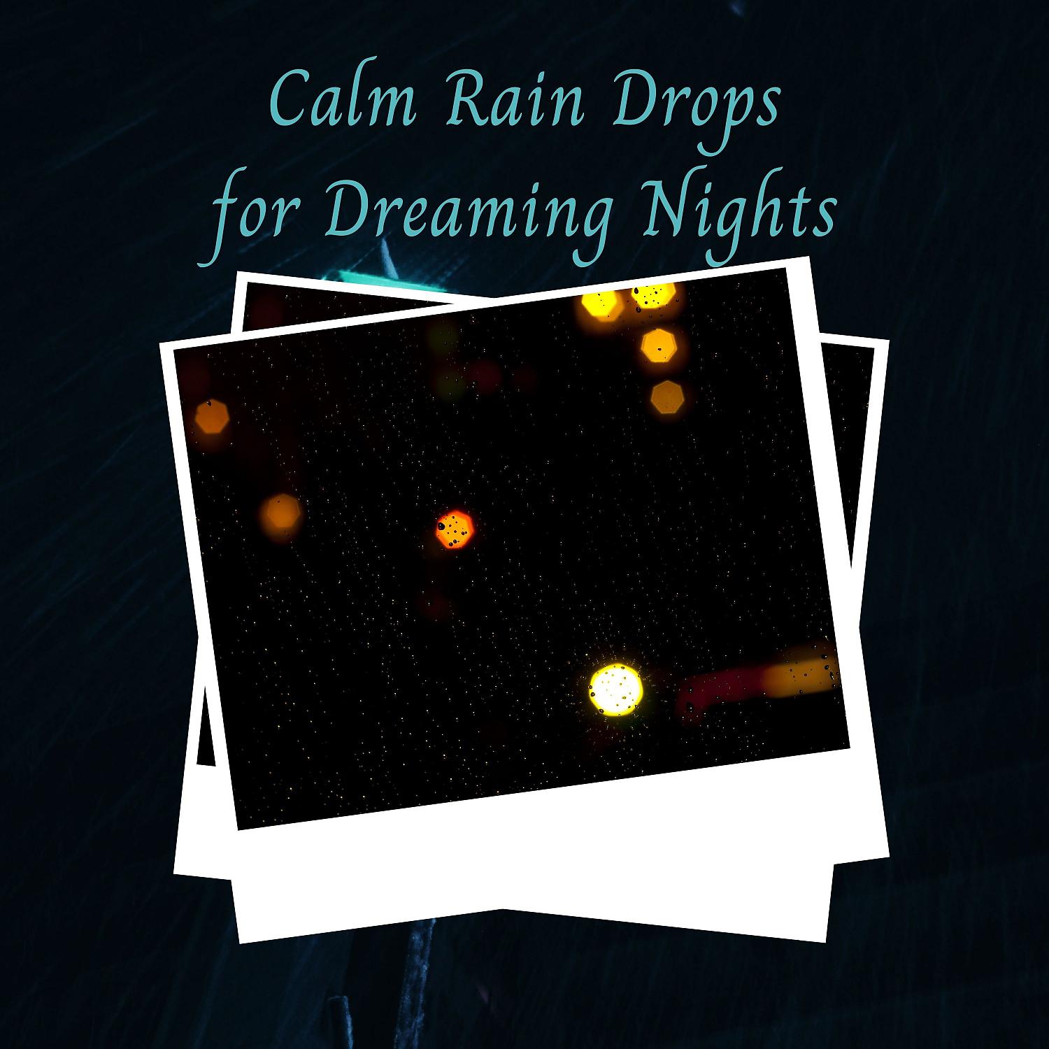 Постер альбома Calm Rain Drops for Dreaming Nights