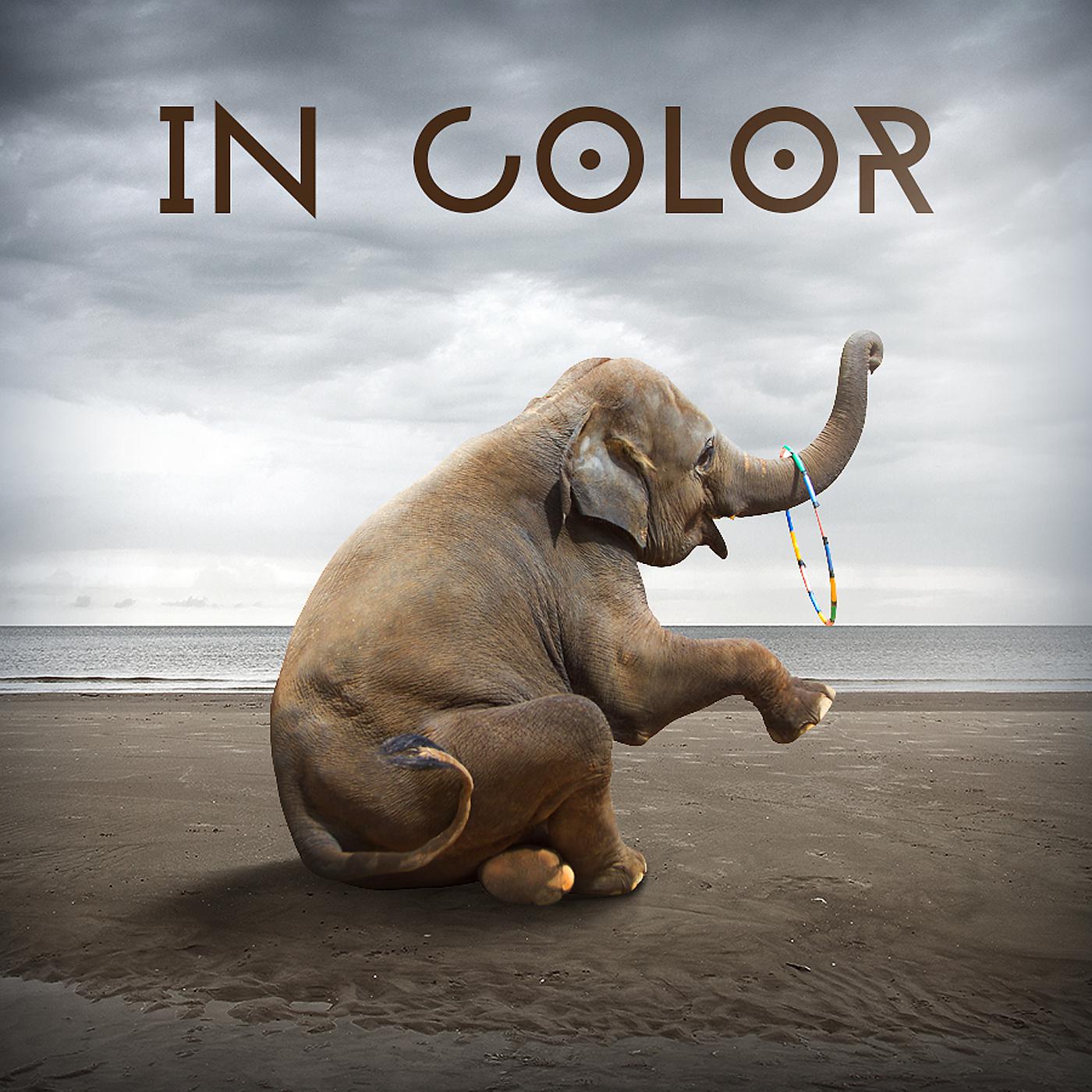 Постер альбома In Color