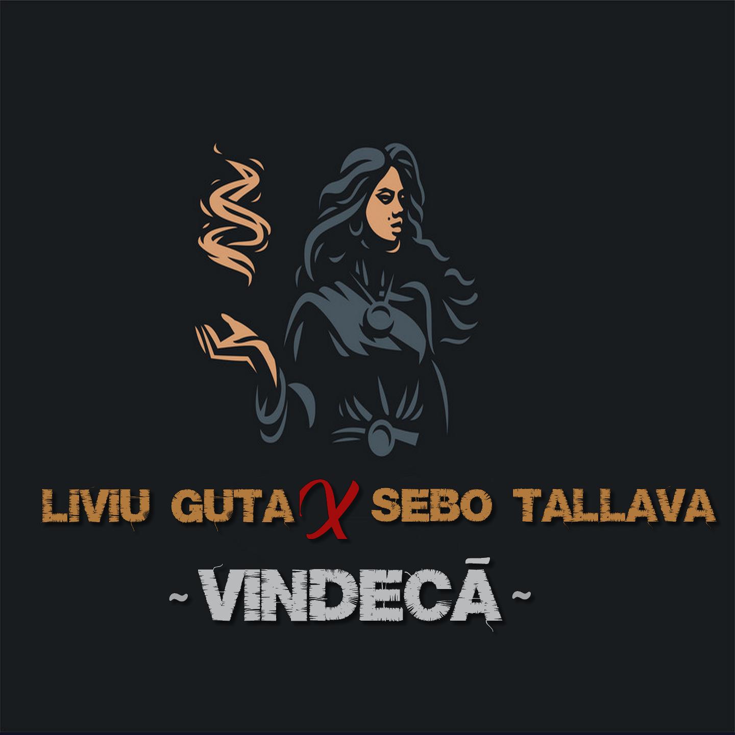 Постер альбома Vindeca