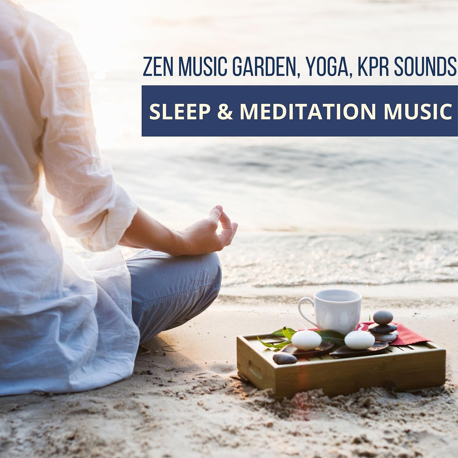 Постер альбома Sleep & Meditation Music