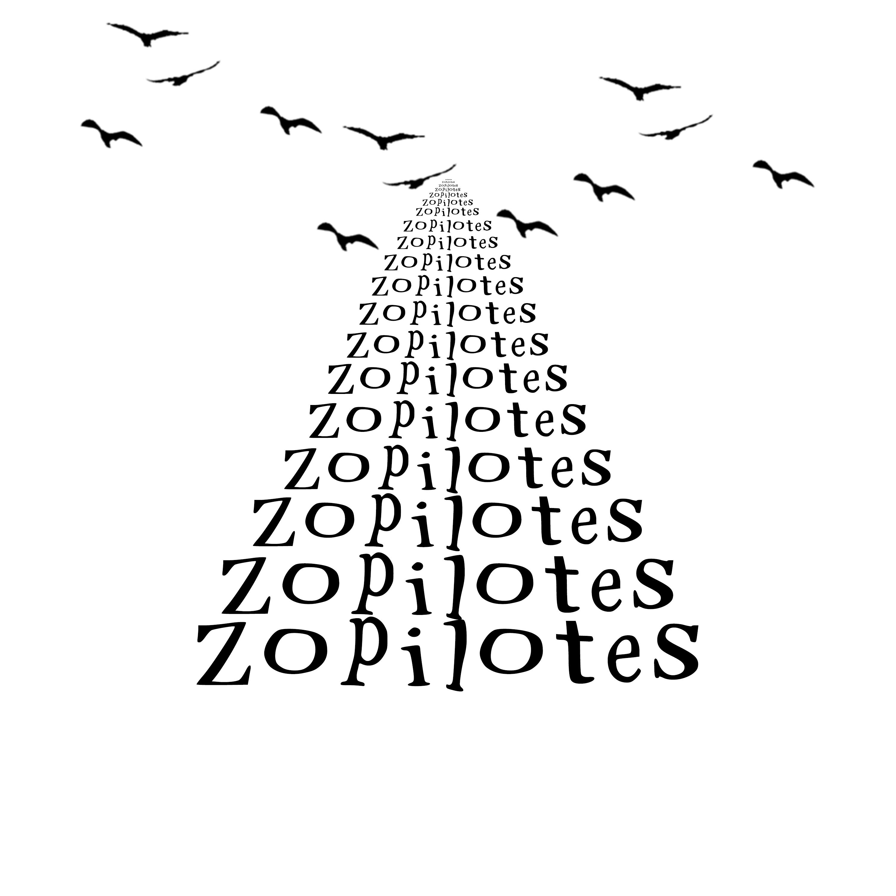 Постер альбома Zopilotes