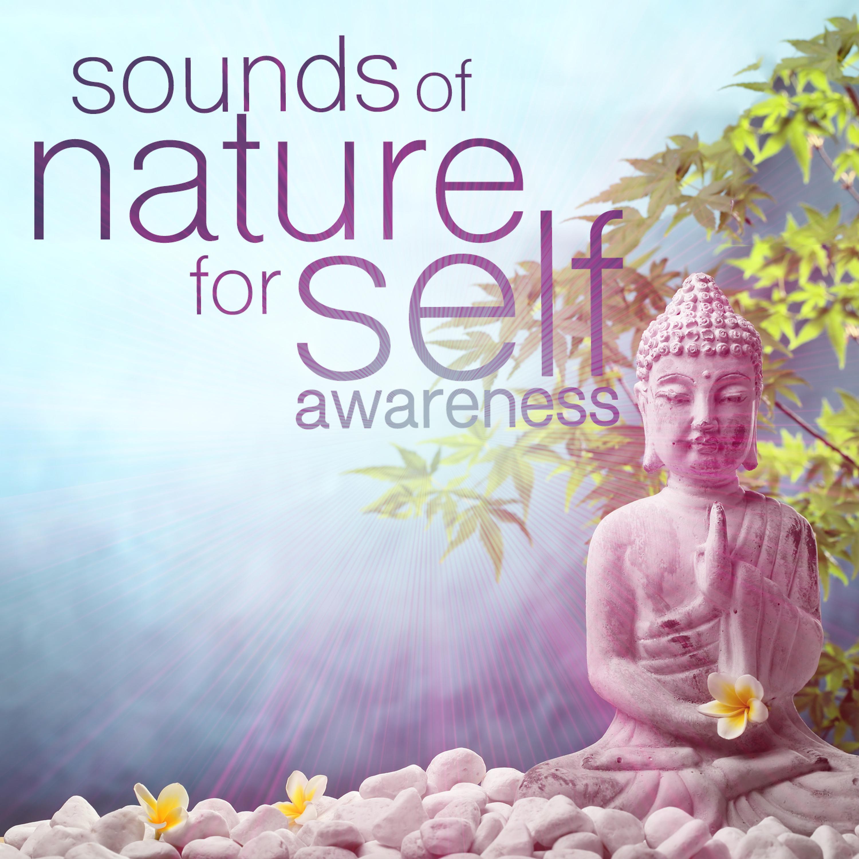Постер альбома Sounds of Nature for Self Awareness