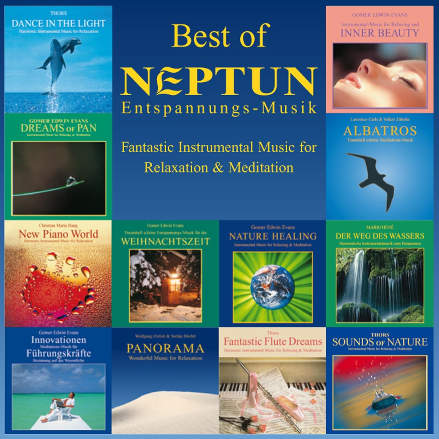 Постер альбома Best of Neptun