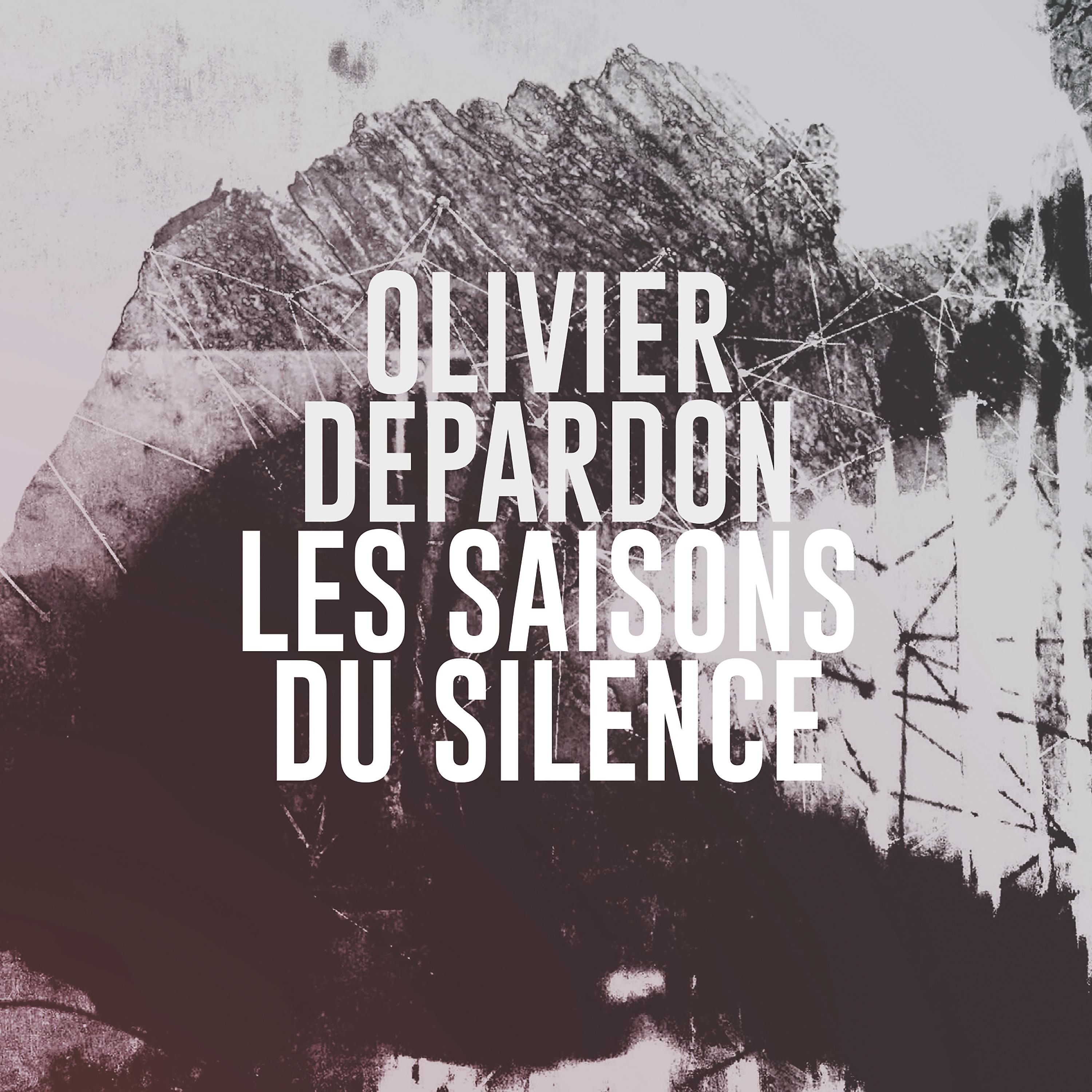 Постер альбома Les saisons du silence