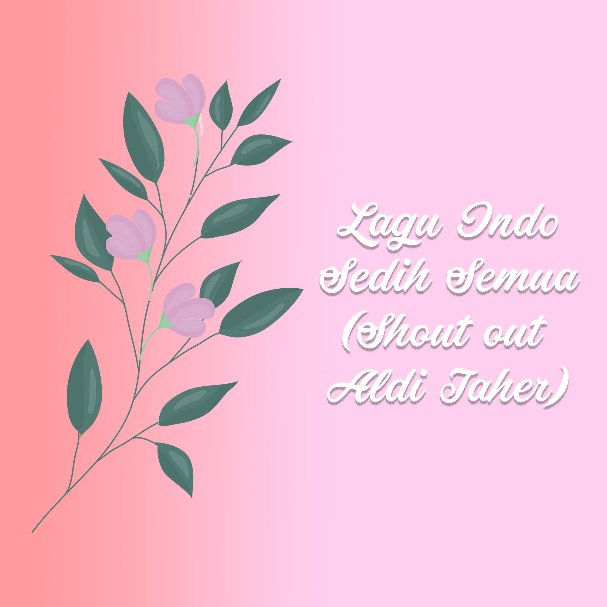 Постер альбома Lagu Indo Sedih Semua (Shout out Aldi Taher)