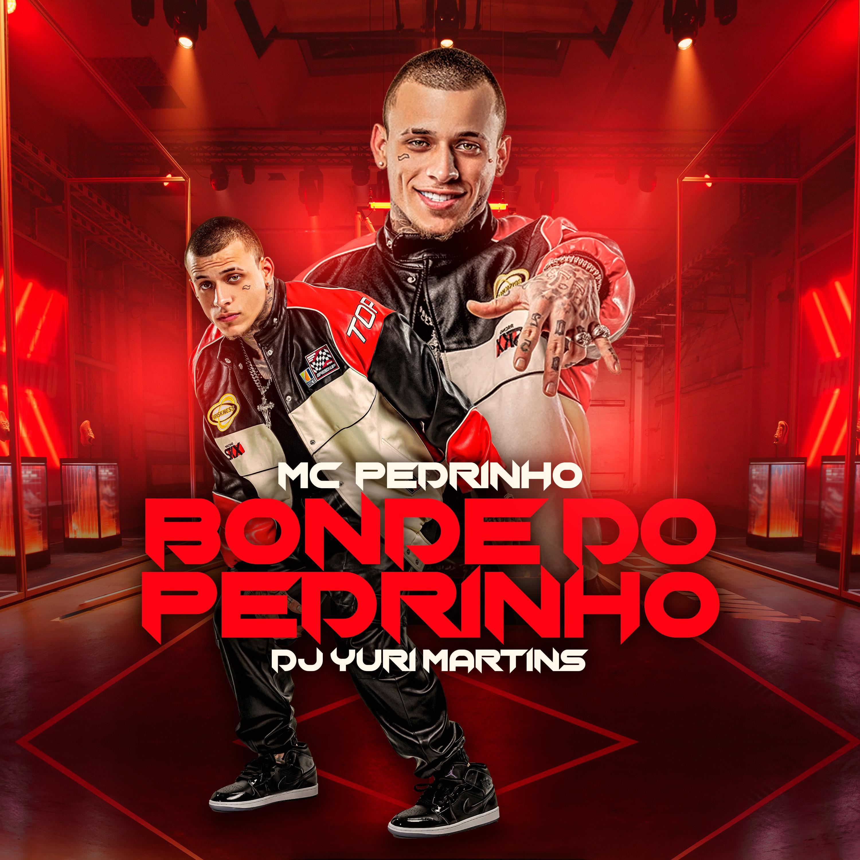 Постер альбома Bonde do Pedrinho