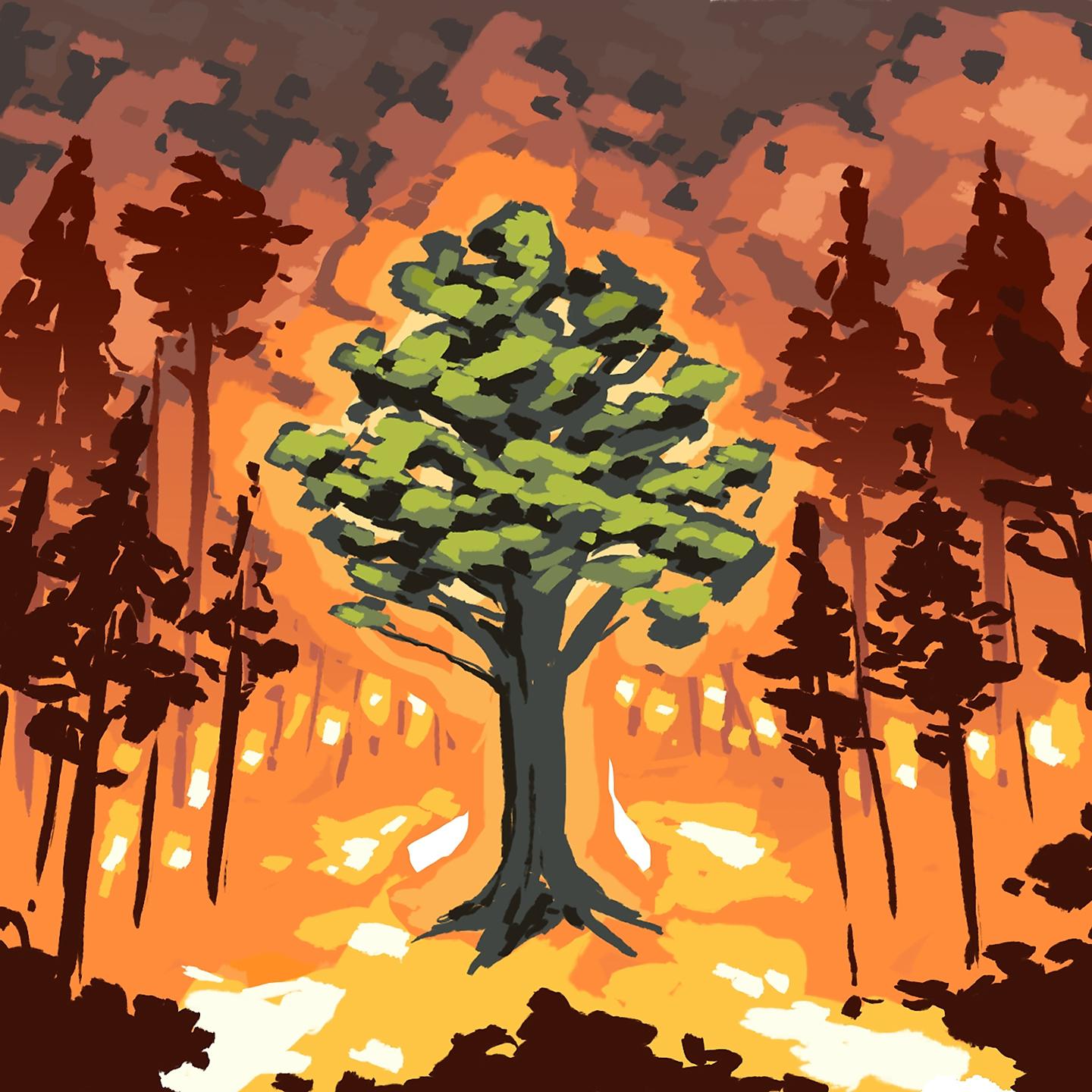 Постер альбома Burning Forest