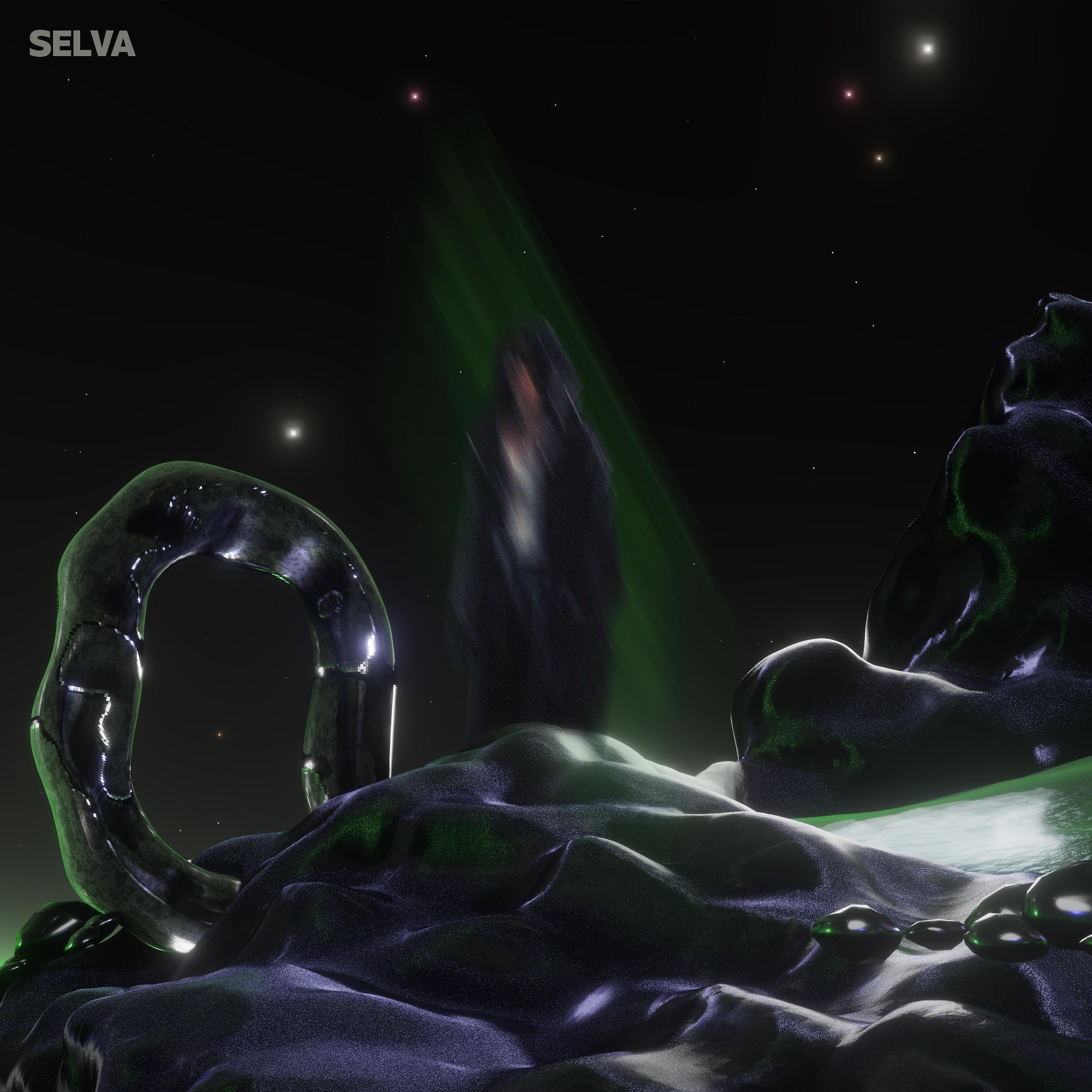 Постер альбома SELVA