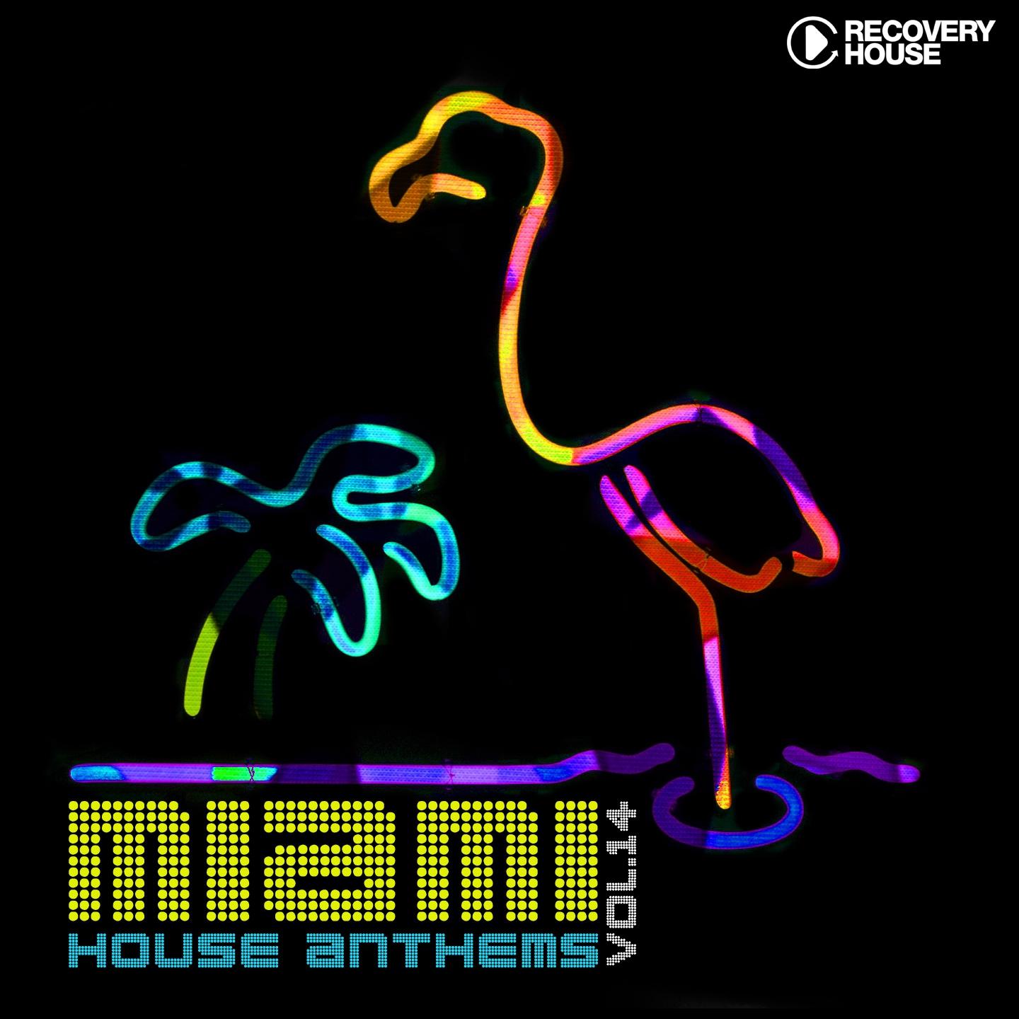 Постер альбома Miami House Anthems, Vol. 14