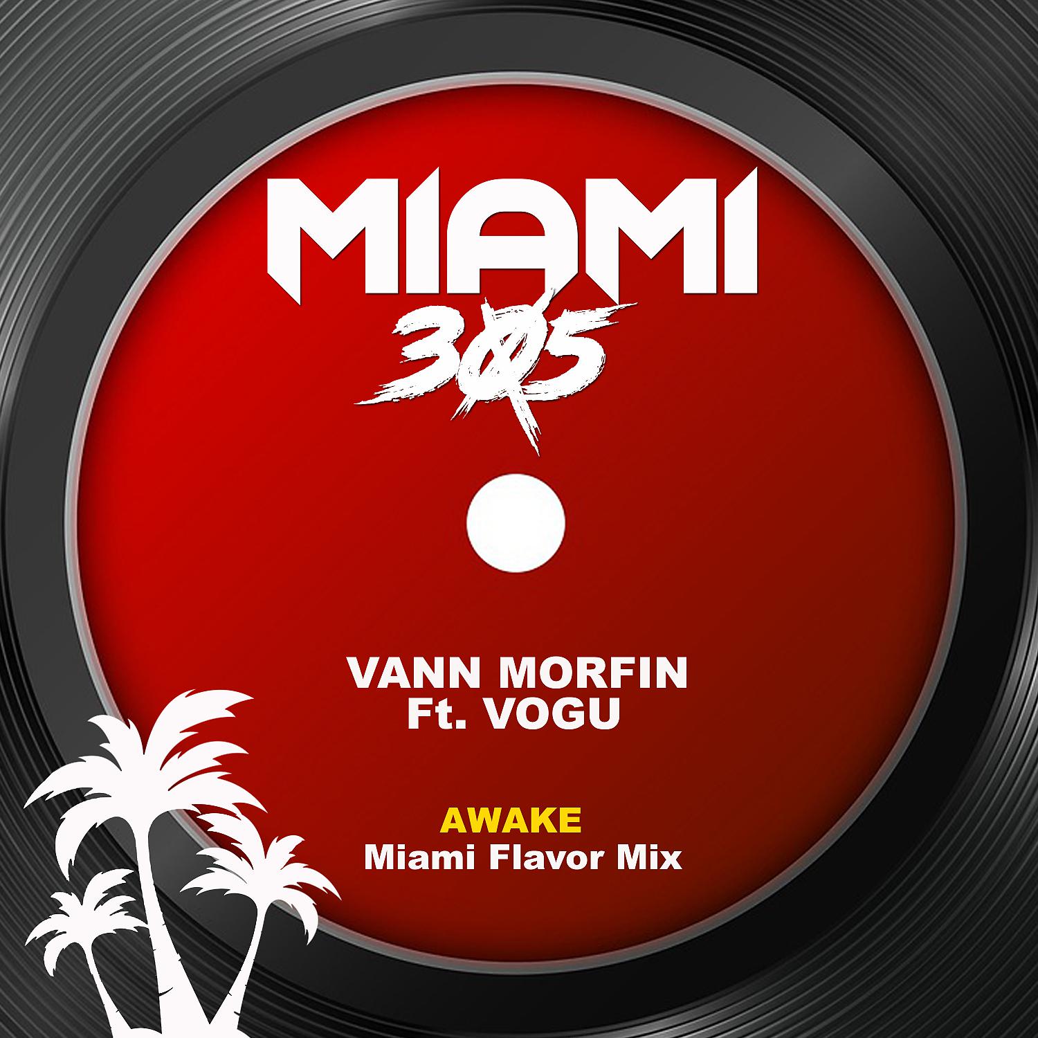 Постер альбома Awake (feat. Robert Vogu) [Miami Flavor Mix]
