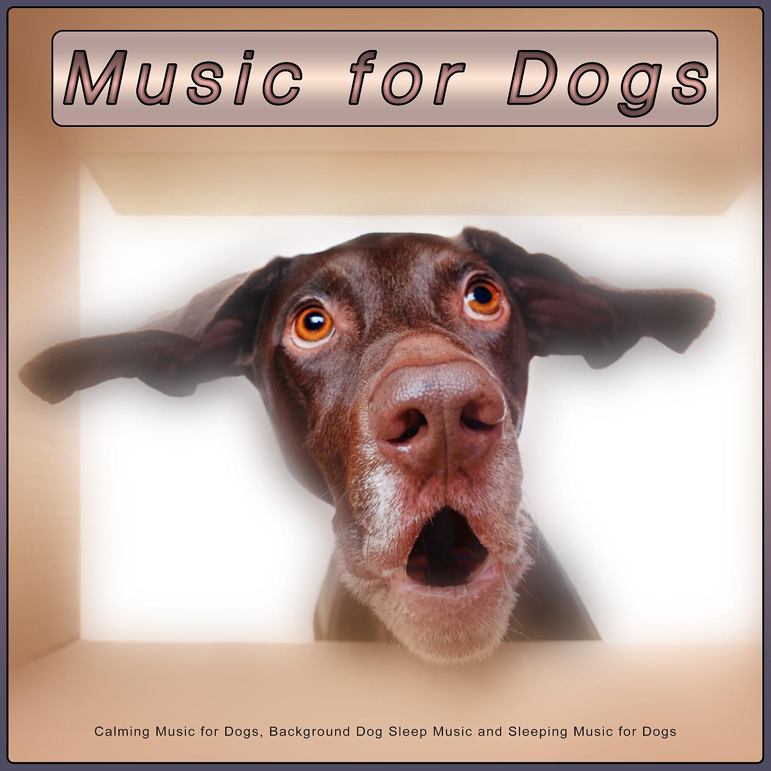 Постер альбома Music for Dogs: Calming Music for Dogs, Background Dog Sleep Music and Sleeping Music for Dogs