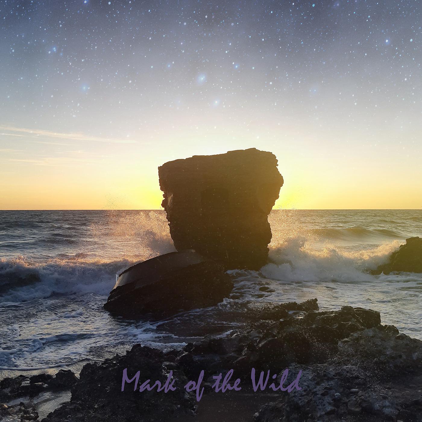 Постер альбома Mark of the Wild