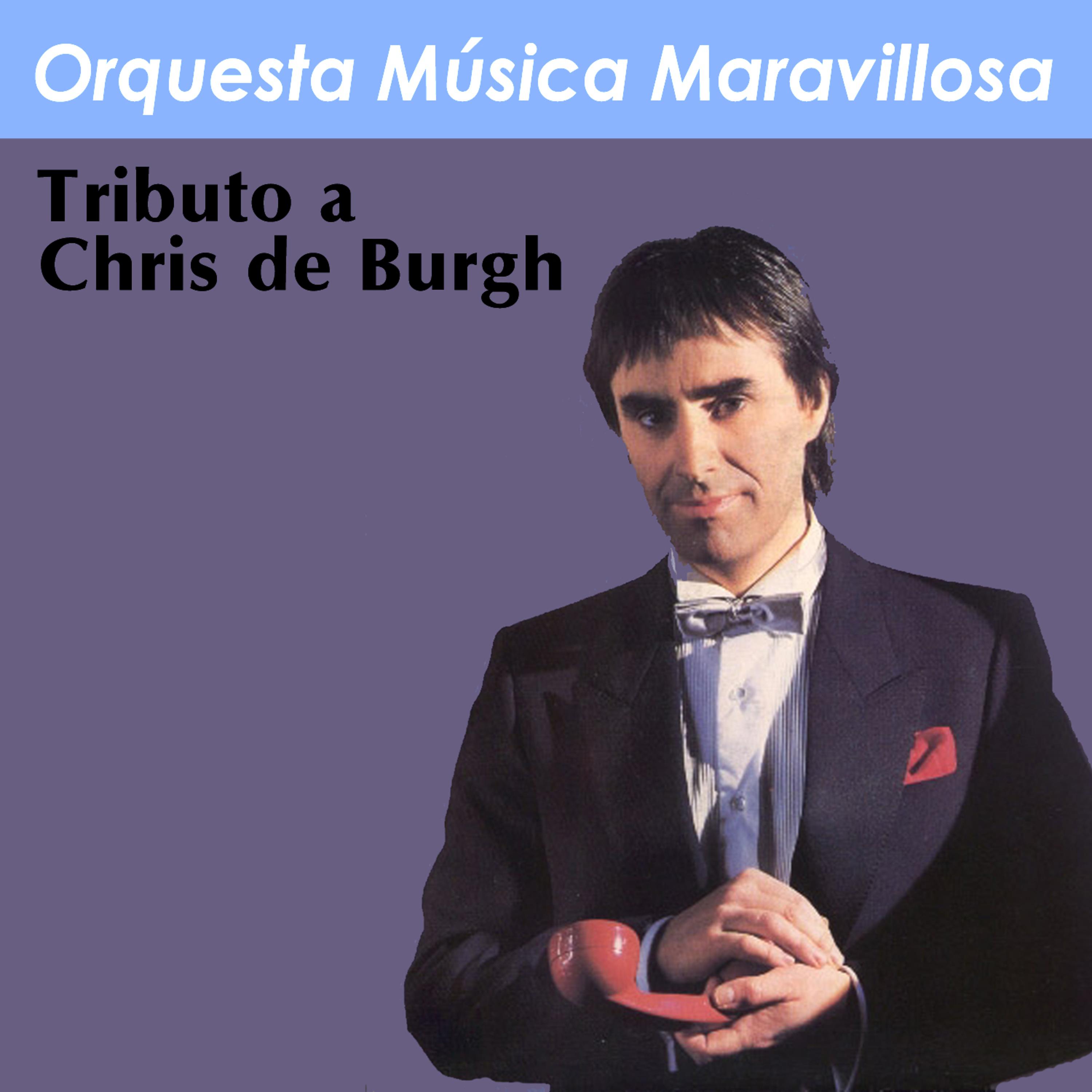 Постер альбома Tributo a Chris de Burgh