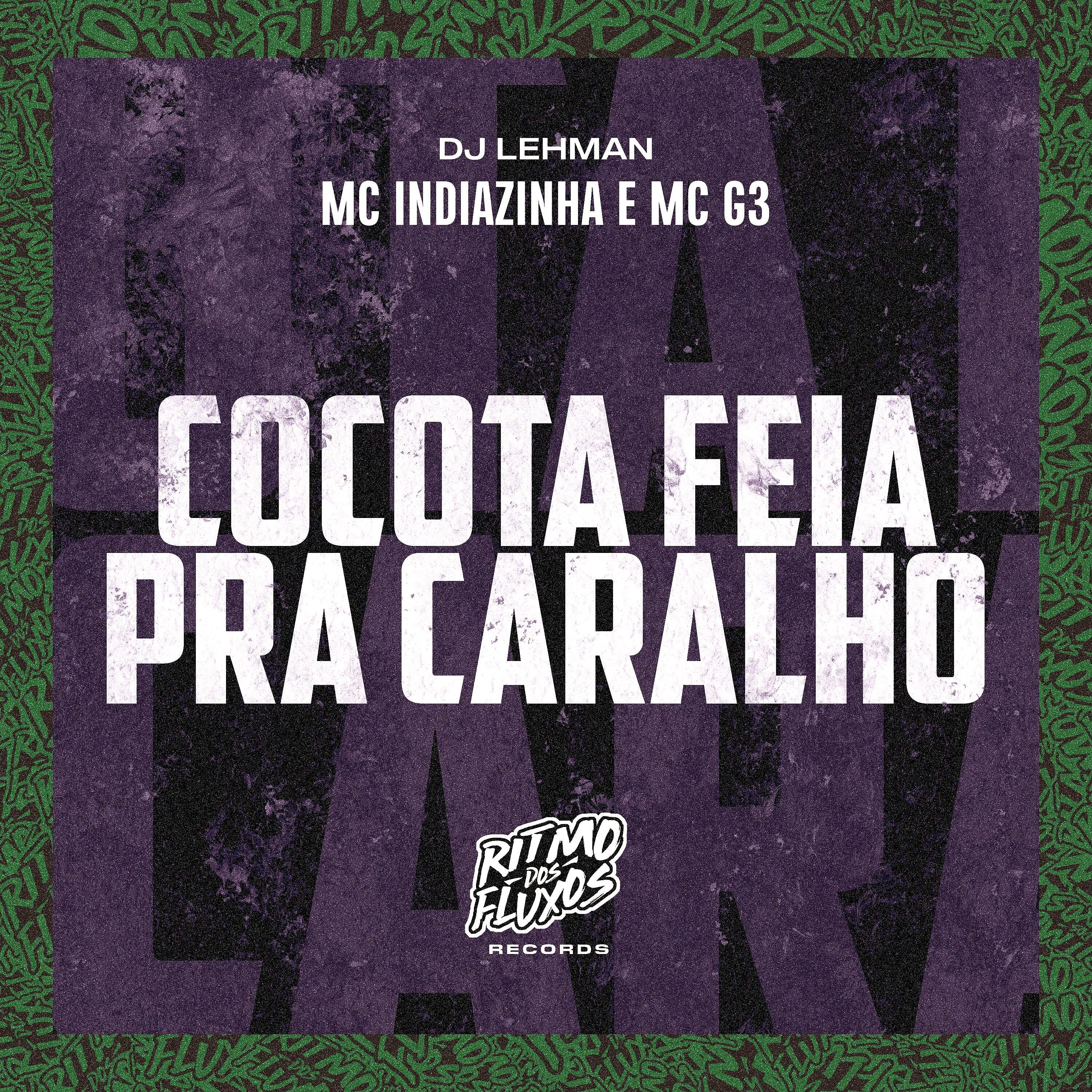 Постер альбома Cocota Feia pra Caralho