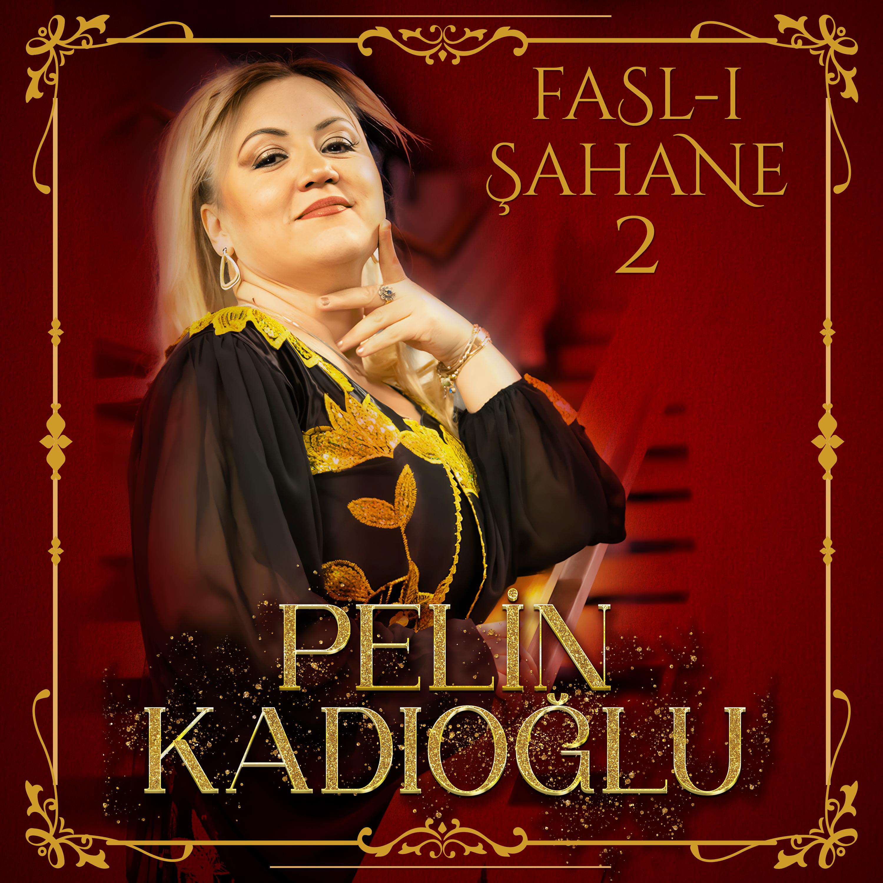 Постер альбома Fasl-ı Şahane 2
