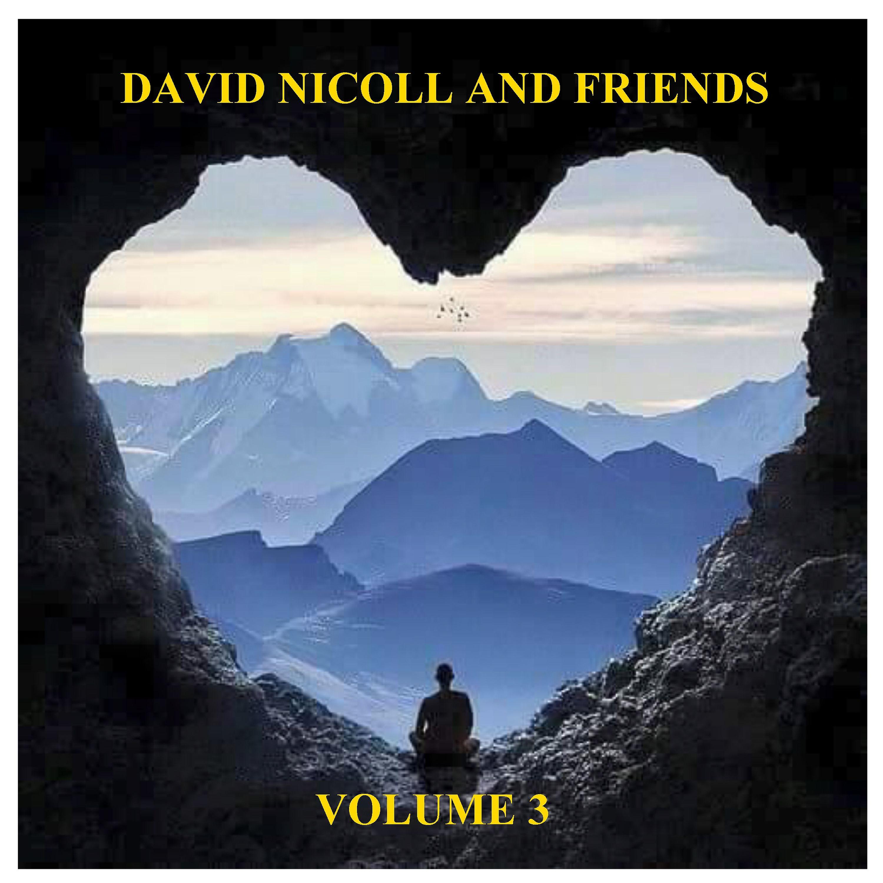 Постер альбома David Nicoll and Friends, Vol. 3