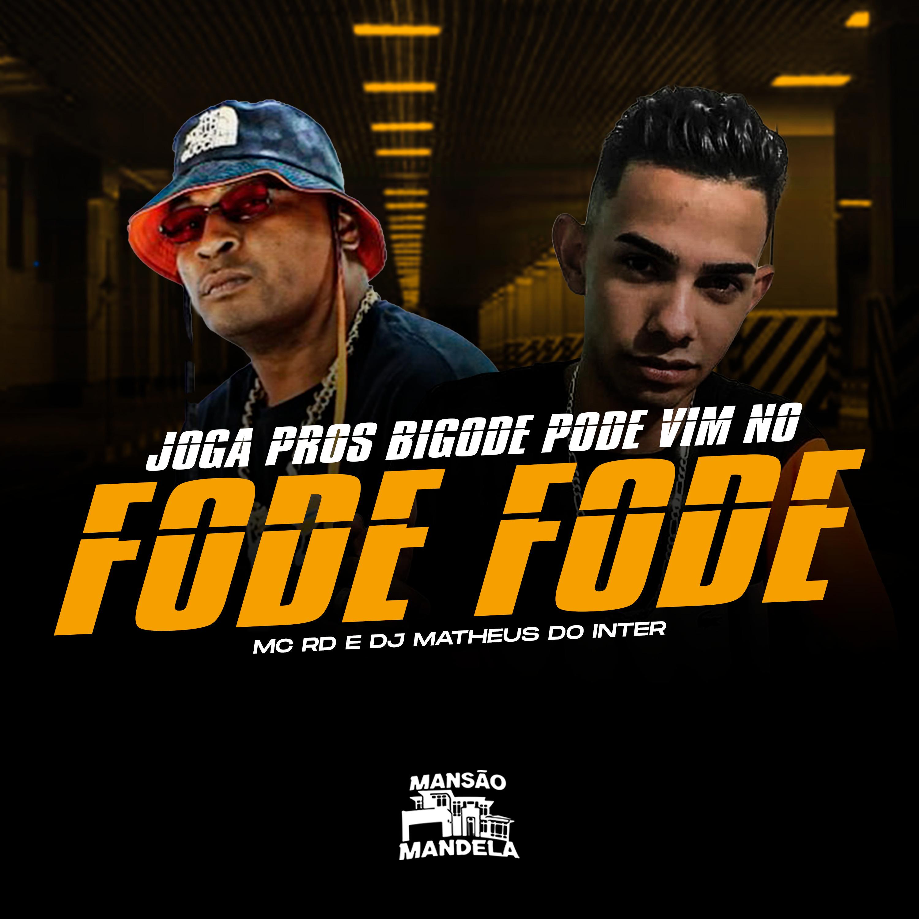 Постер альбома Joga Pros Bigode Pode Vim no Fode Fode