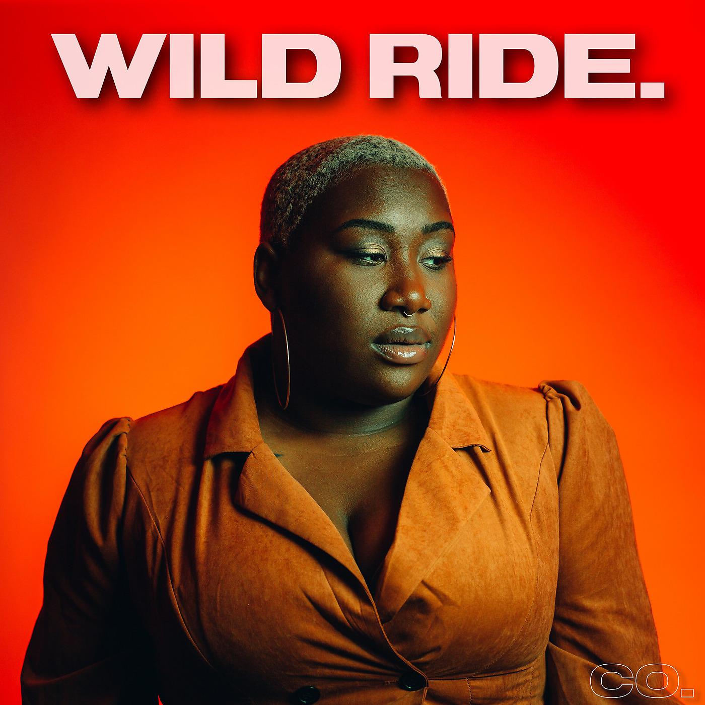 Постер альбома Wild Ride.