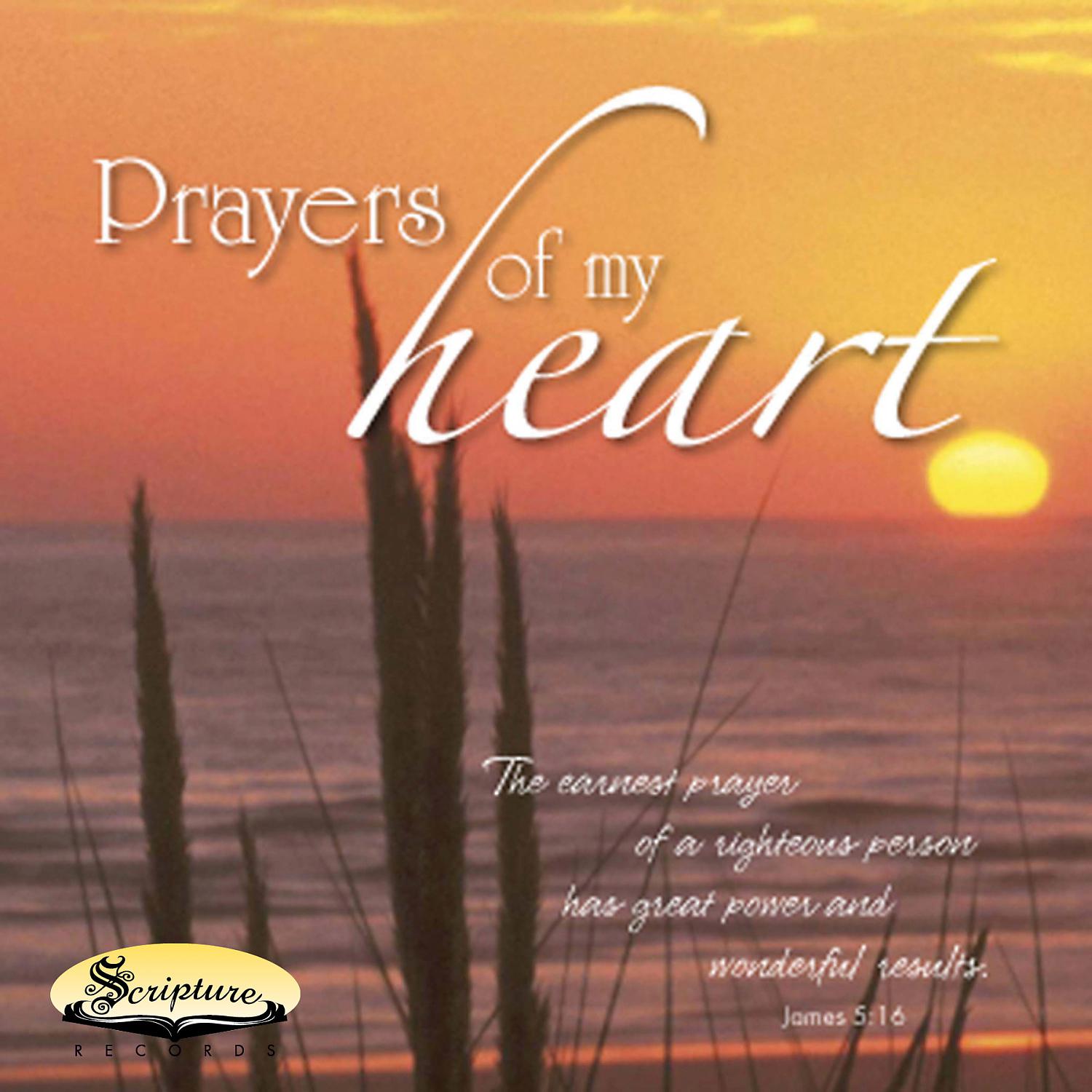 Постер альбома Prayers of My Heart (feat. Twin Sisters)
