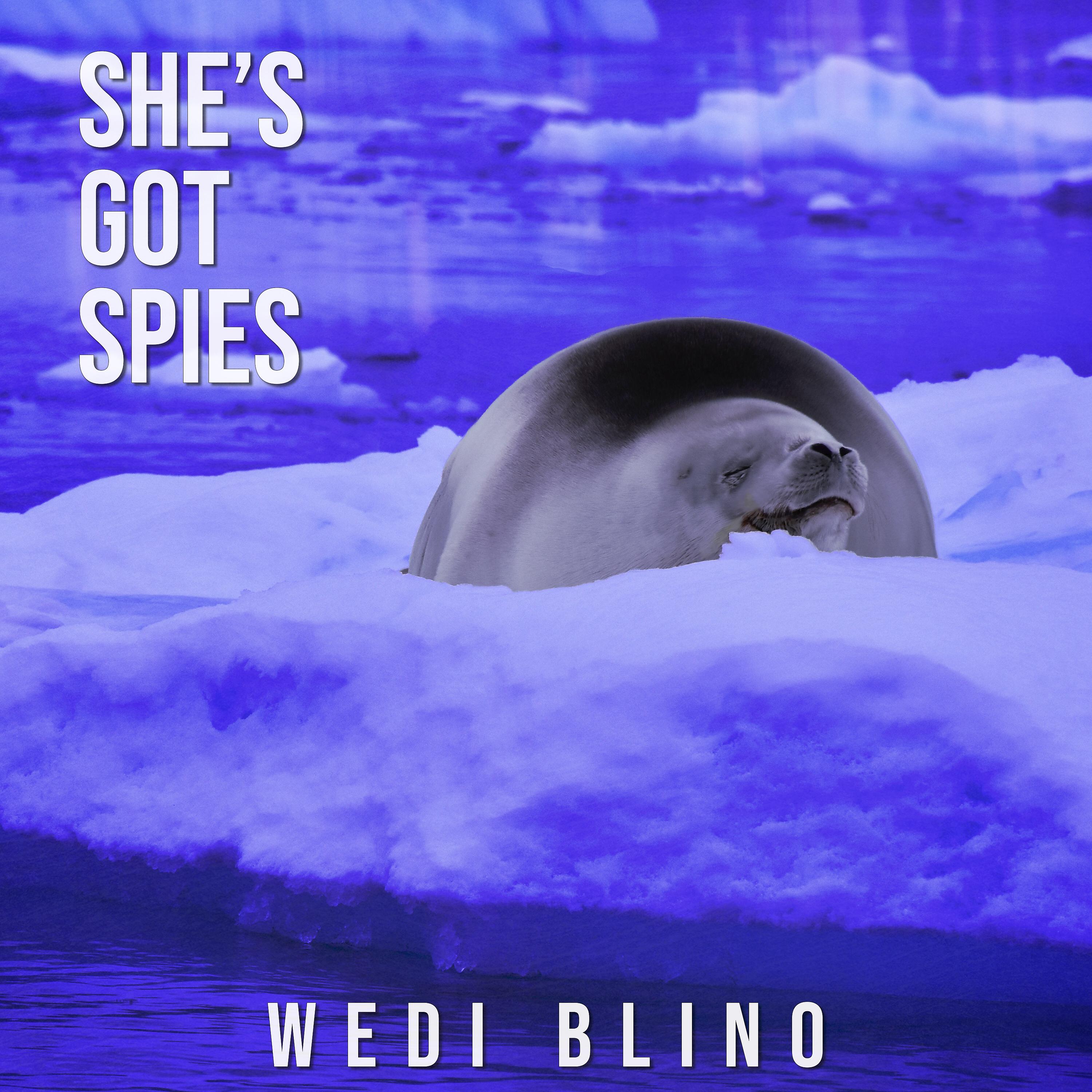 Постер альбома Wedi Blino