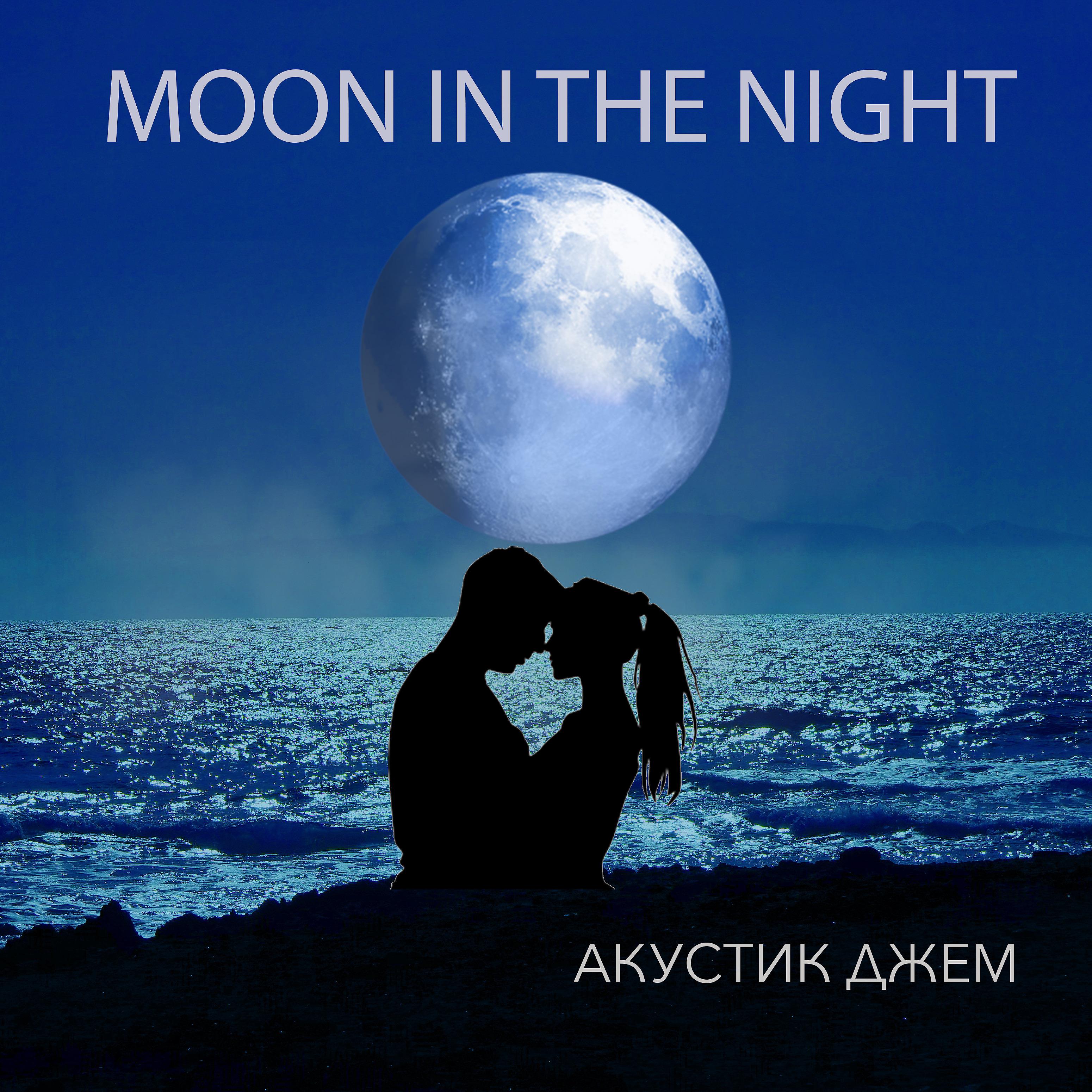 Постер альбома Moon in the Night
