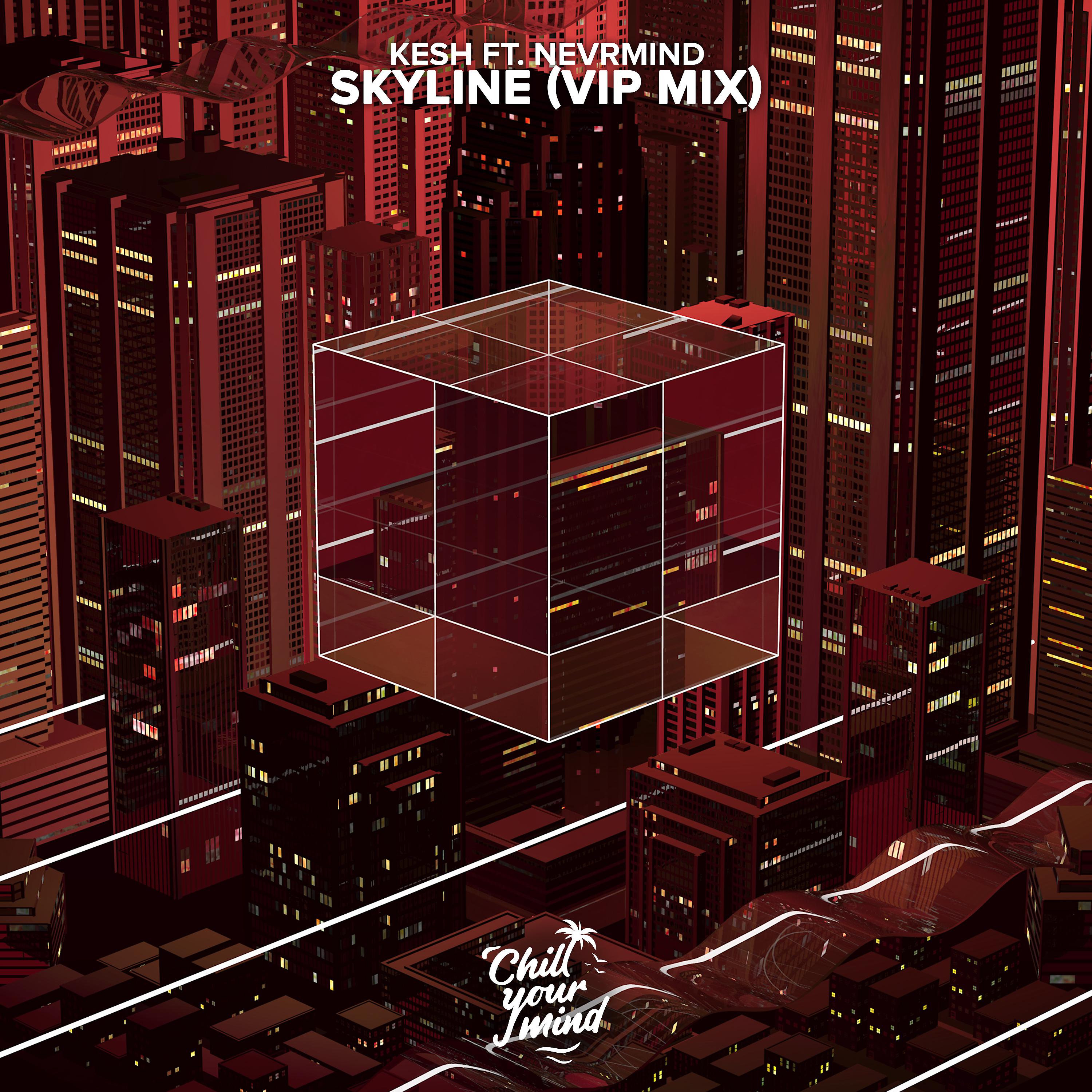 Постер альбома Skyline (VIP Mix)
