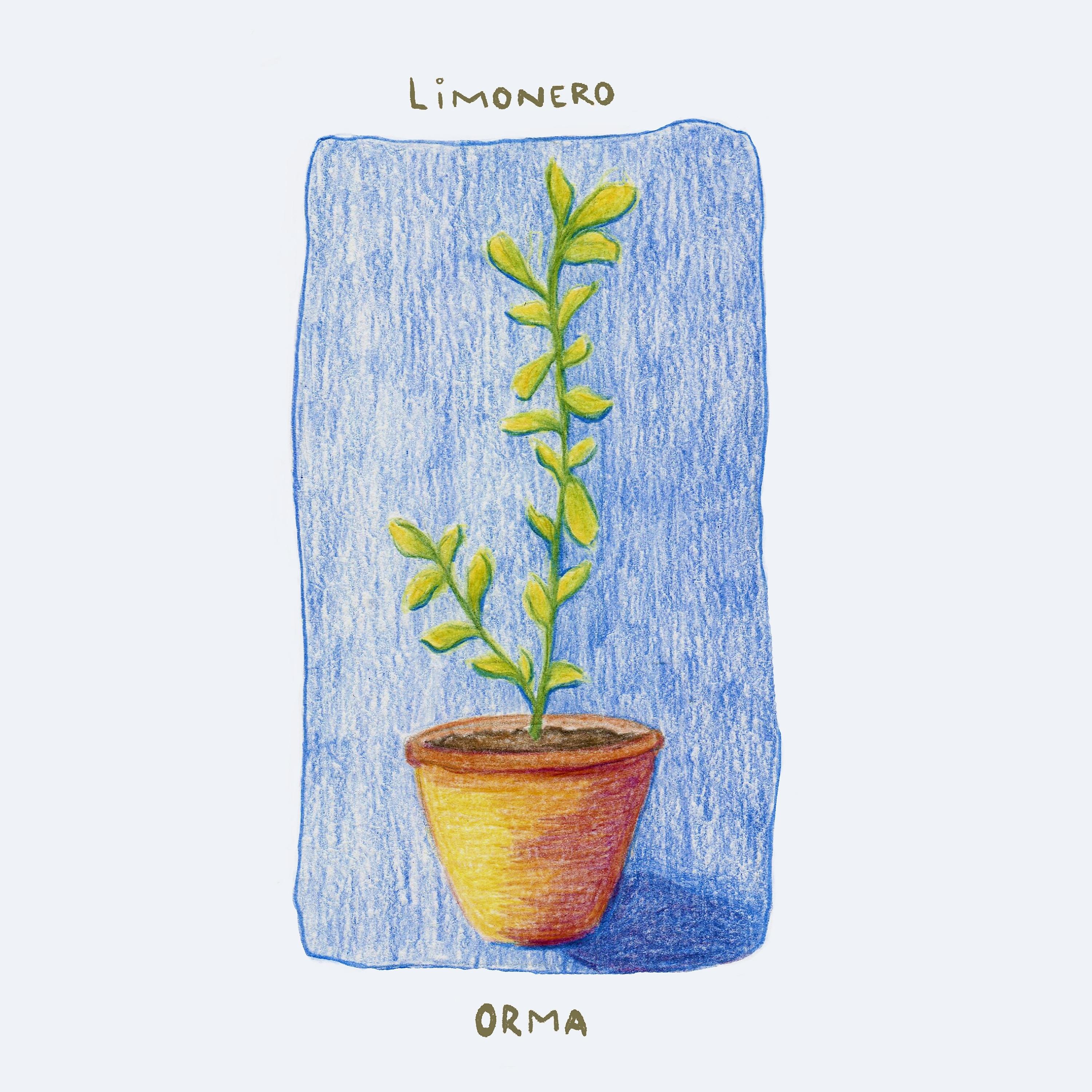Постер альбома Limonero