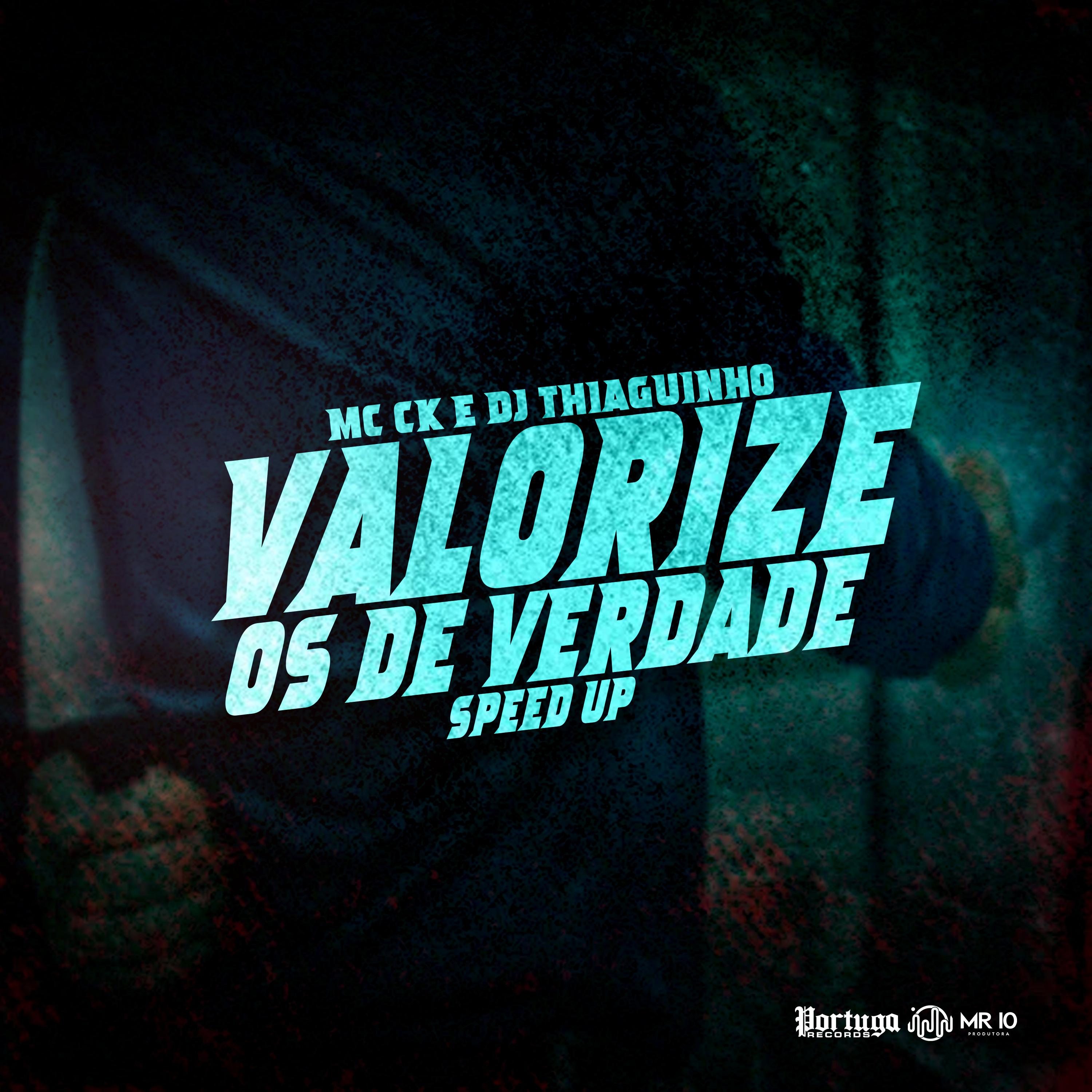 Постер альбома Valorize os de Verdade (Speed Up)