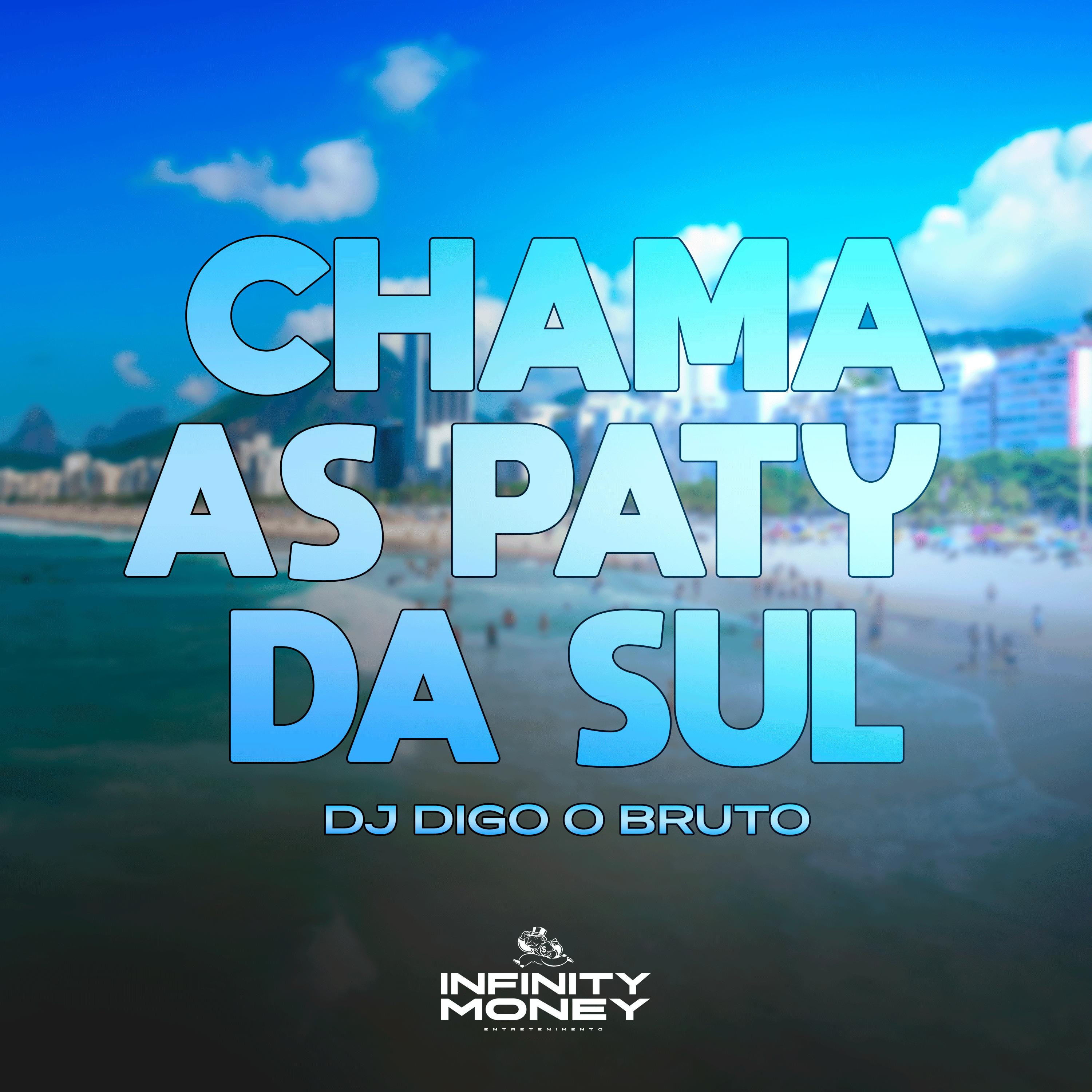 Постер альбома Chama as Paty da Sul