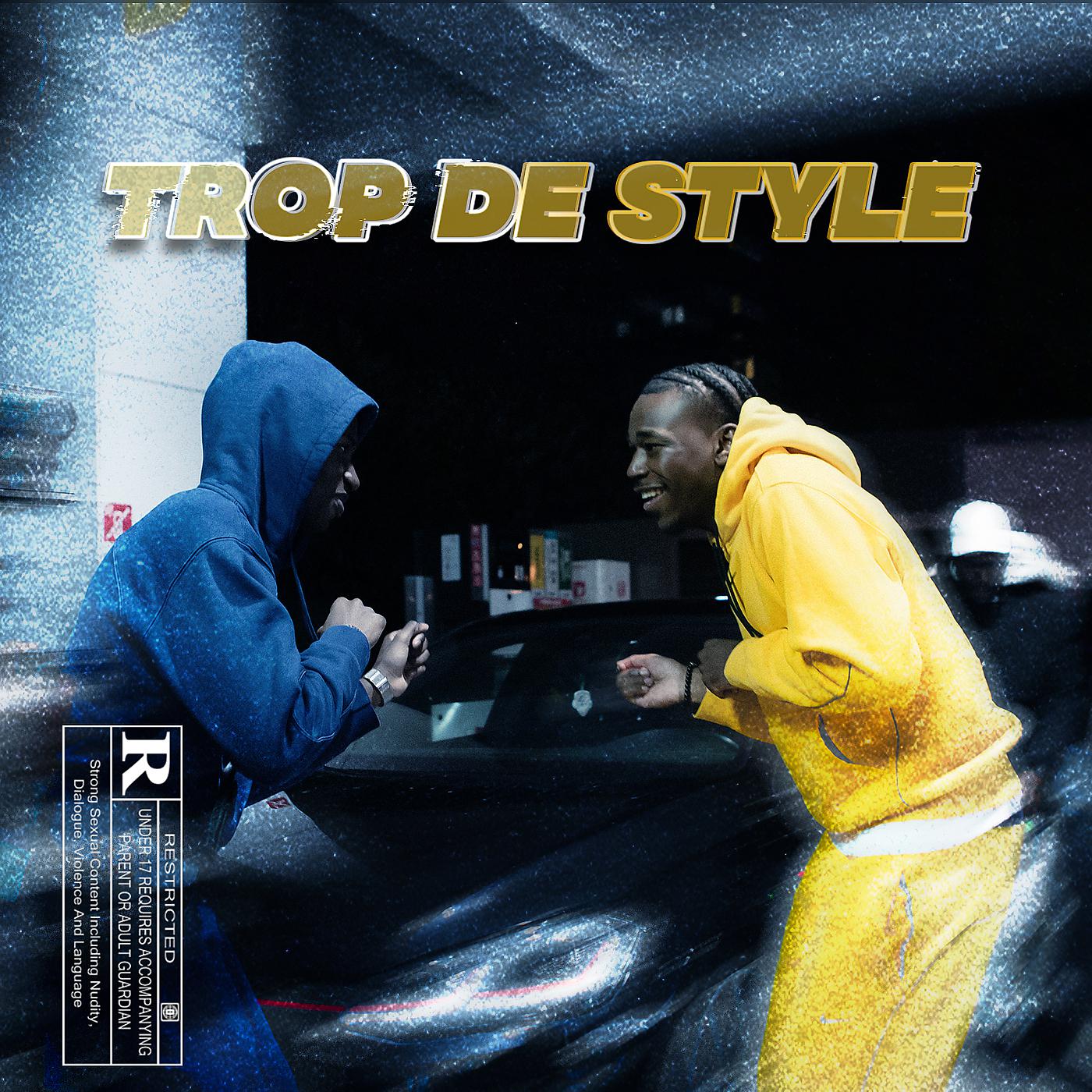 Постер альбома Trop d'style