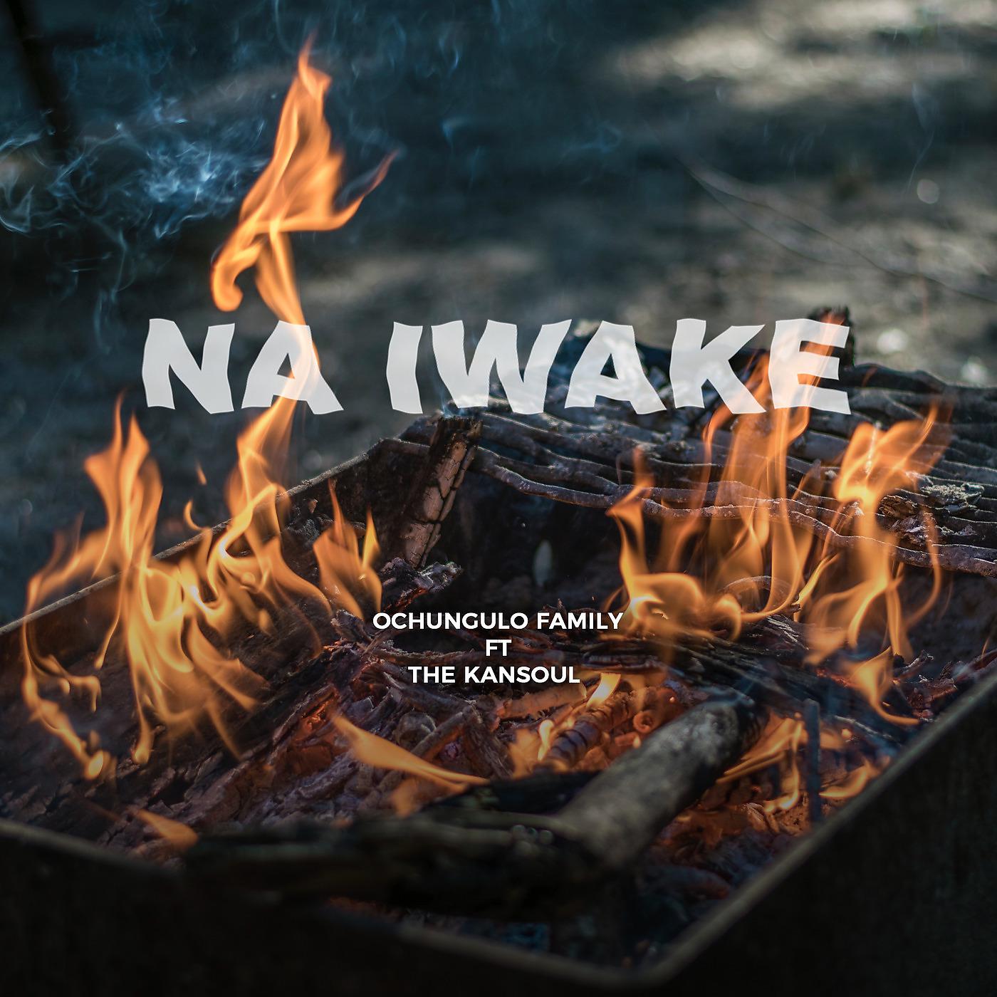 Постер альбома Na Iwake (Remix)