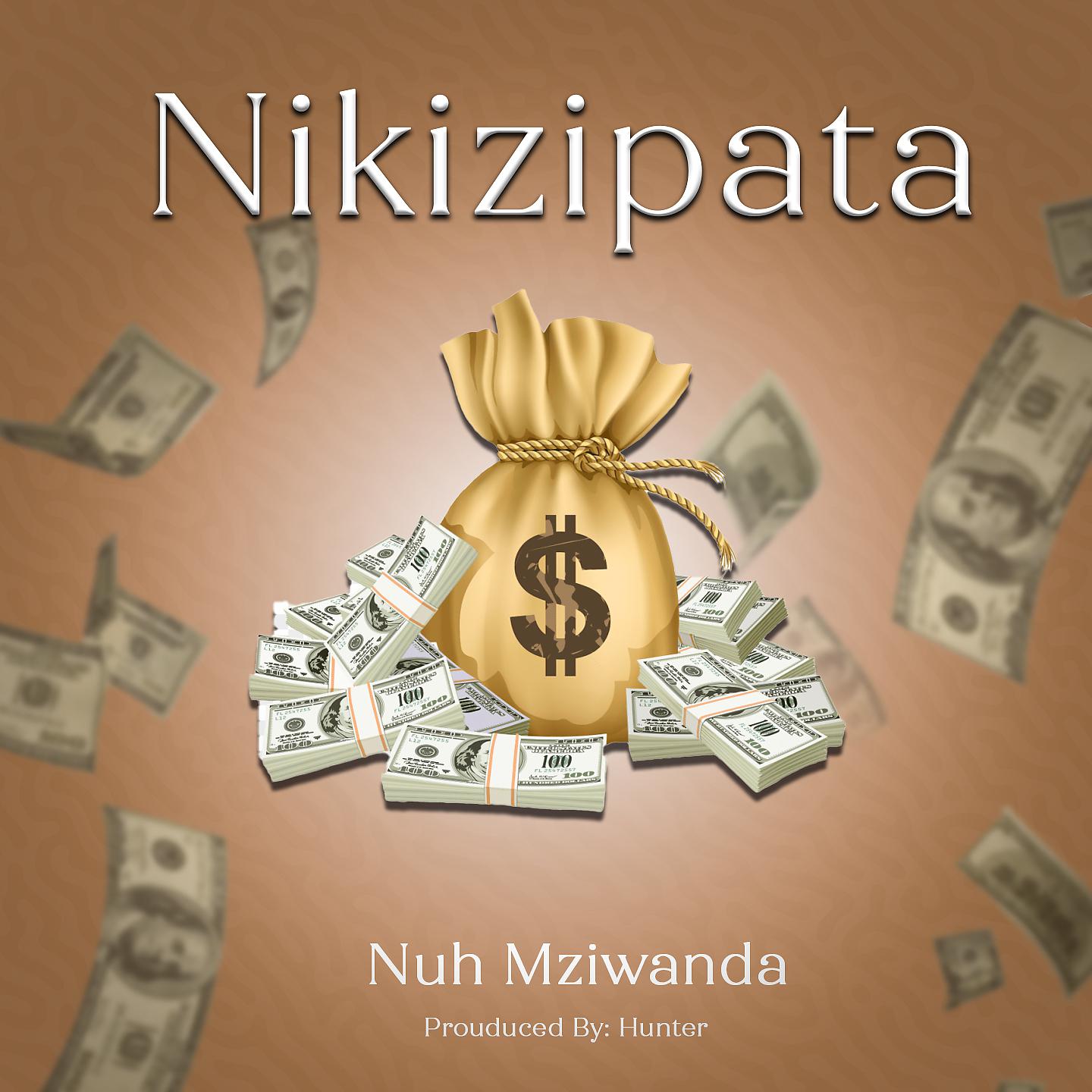 Постер альбома Nikizipata