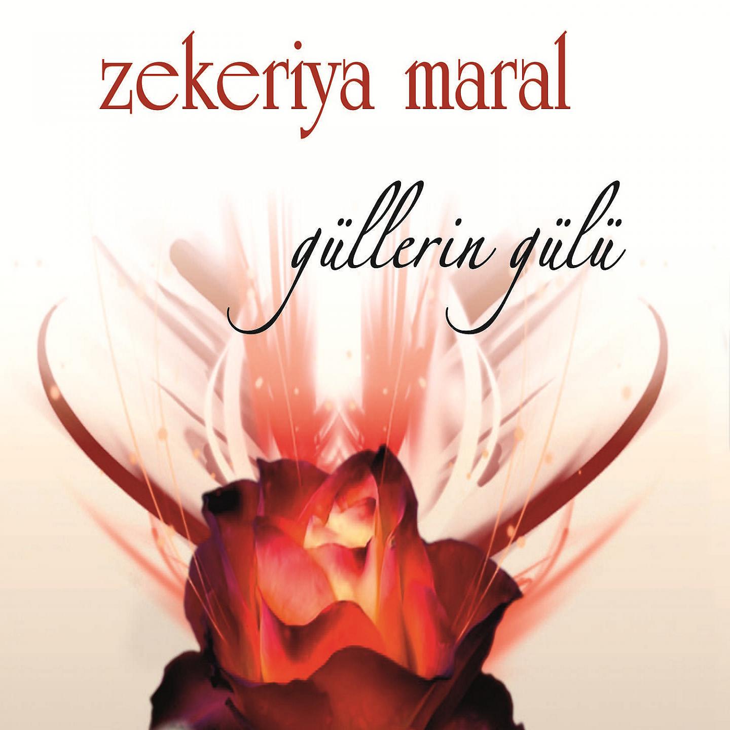 Постер альбома Güllerin Gülü