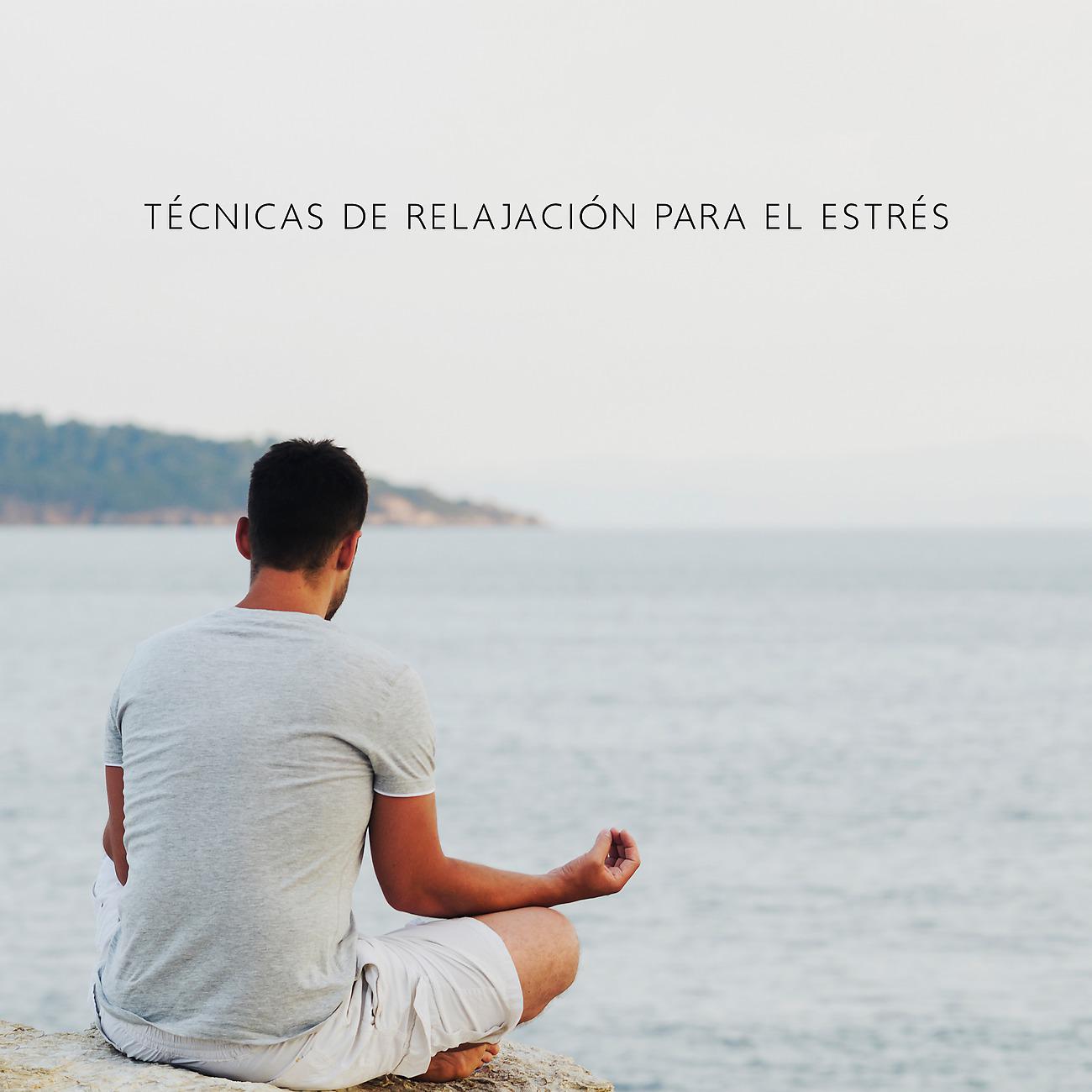 Постер альбома Técnicas de Relajación para el Estrés con Música Salvaje Africana (Pura Meditación)