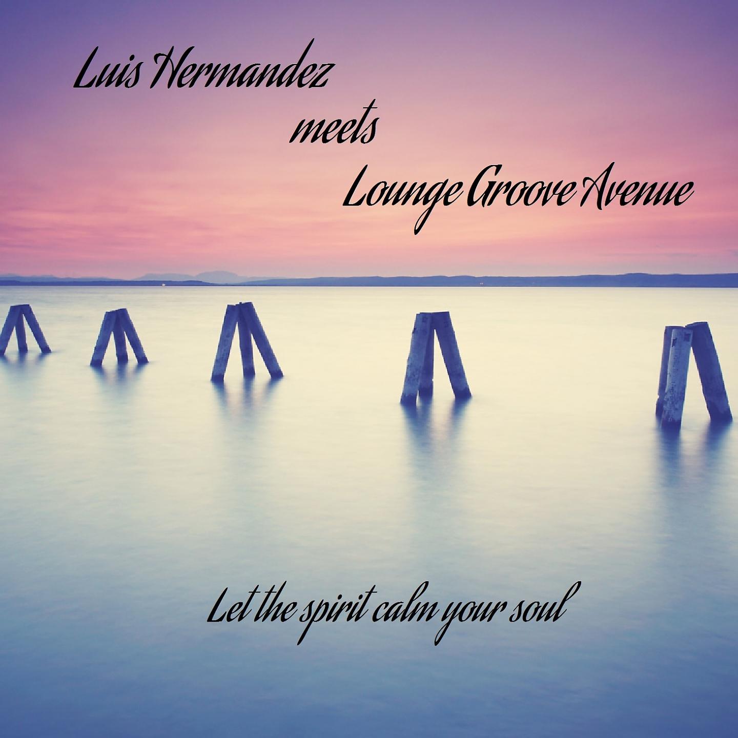 Постер альбома Luis Hermandez Meets Lounge Groove Avenue