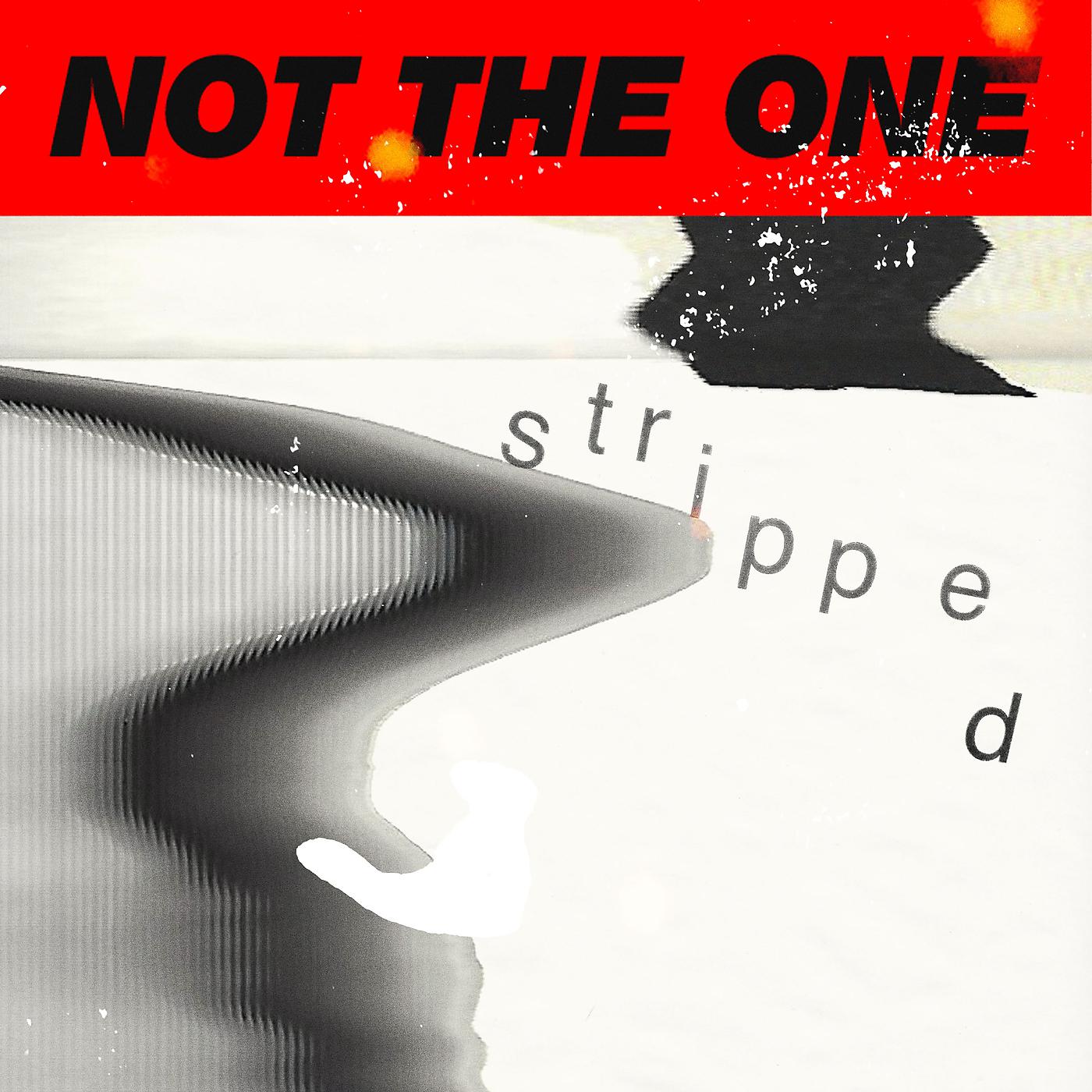 Постер альбома Not The One