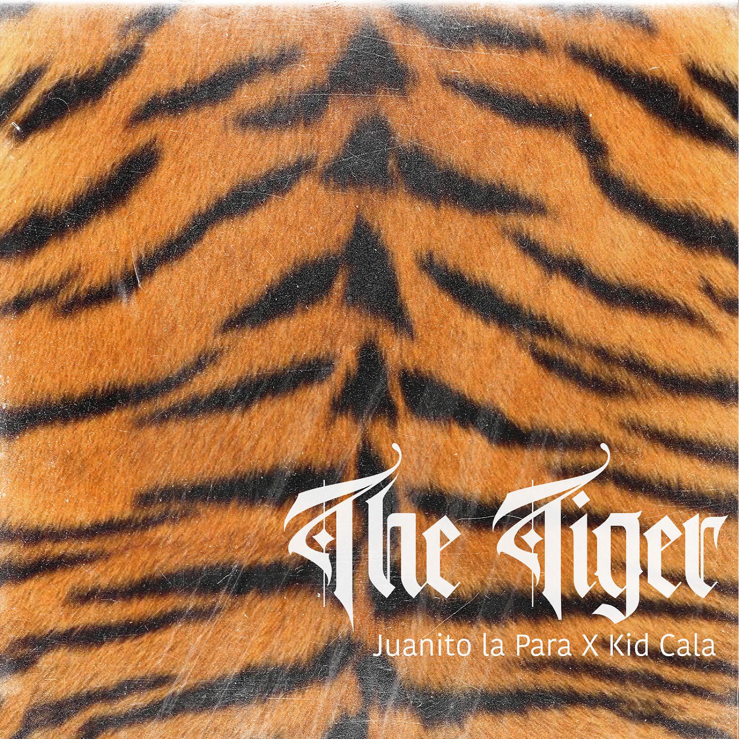 Постер альбома The Tiger