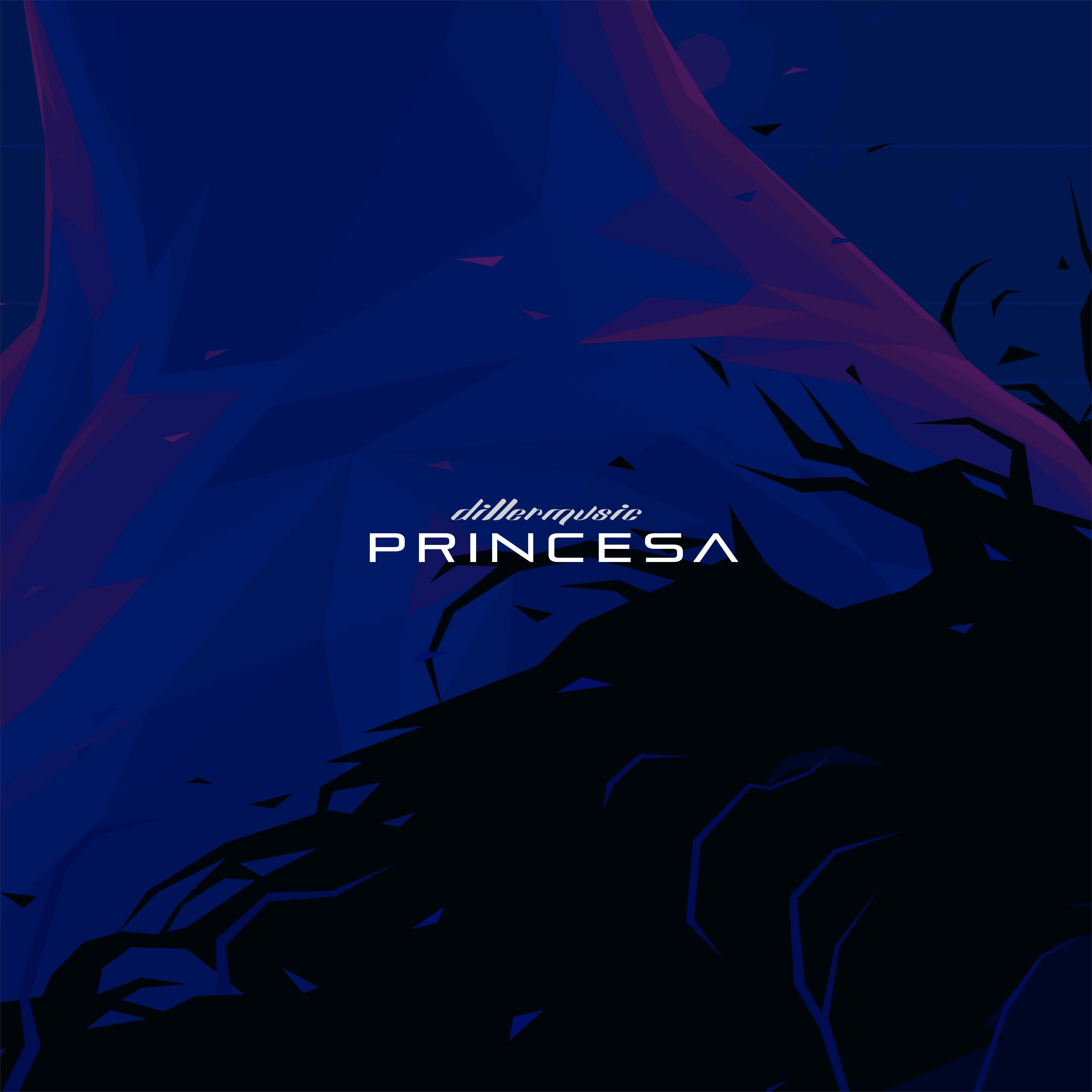 Постер альбома princesa