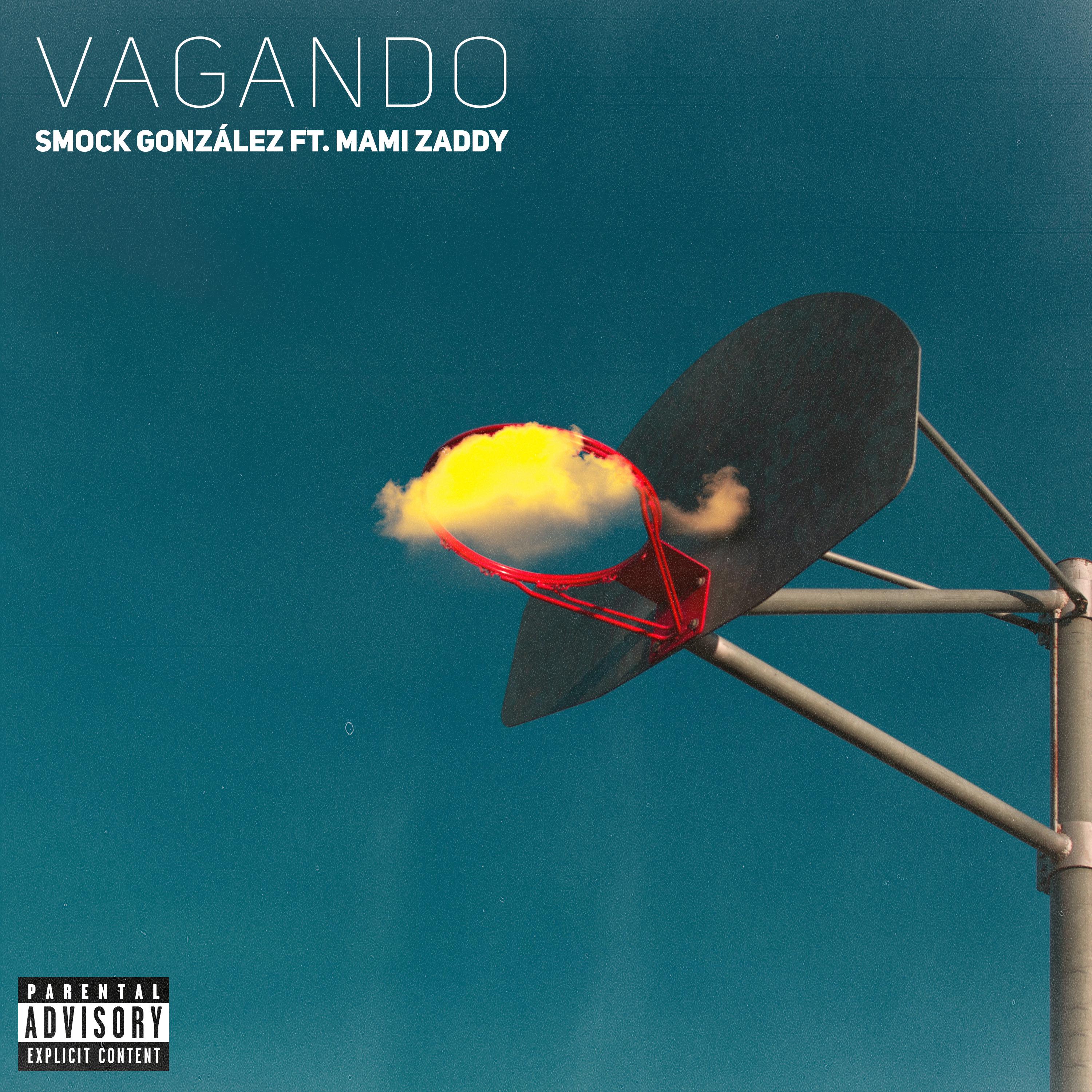 Постер альбома Vagando