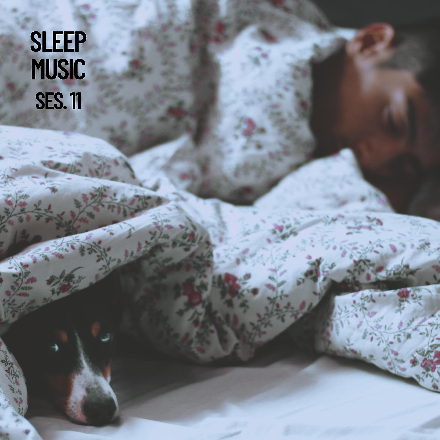Постер альбома Sleep Music, Relax and Sleep Sounds and Music Session 11