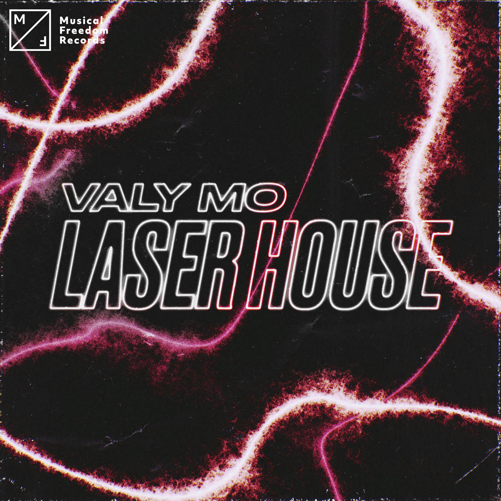Постер альбома Laser House
