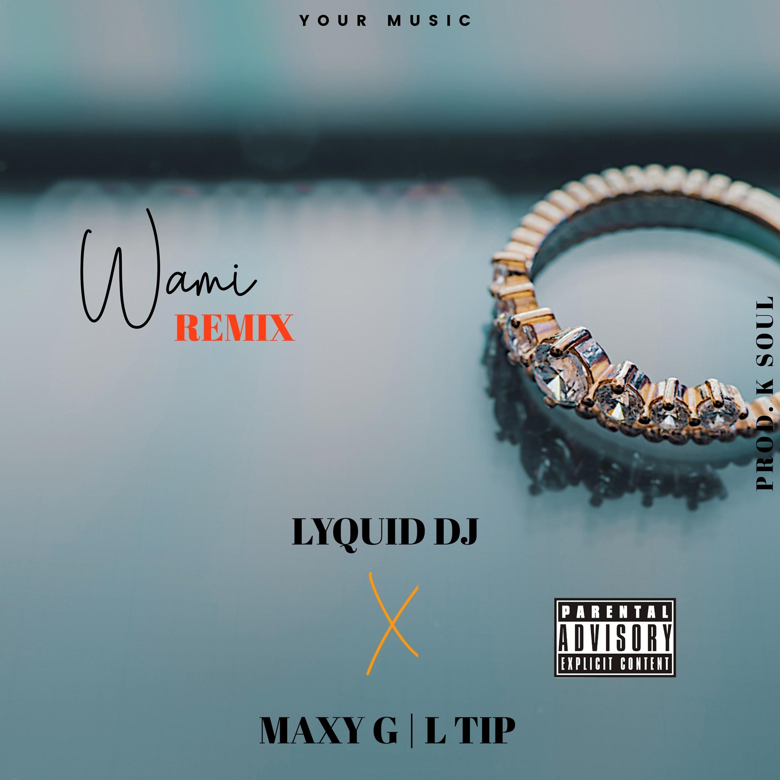 Постер альбома Wami (Remix)