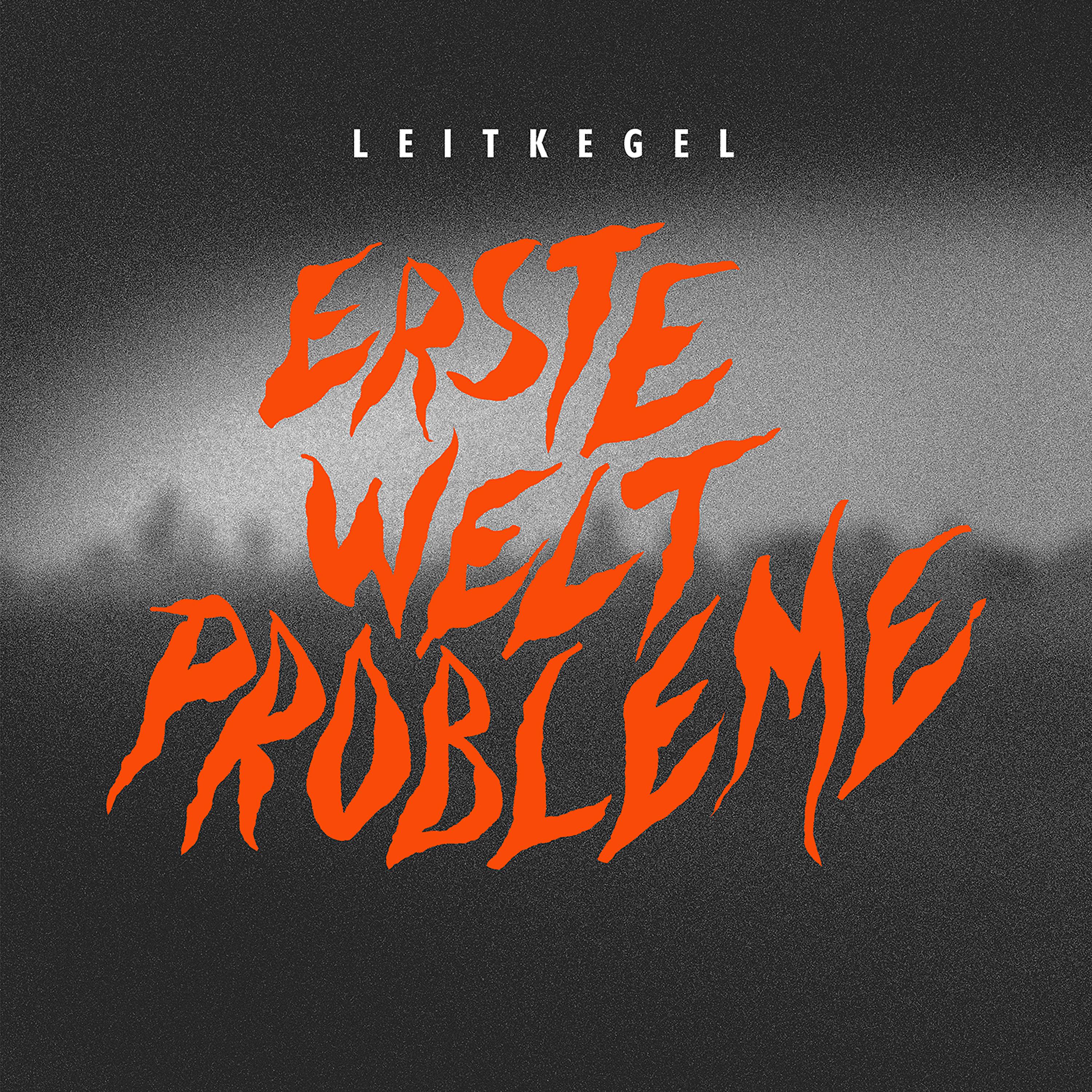 Постер альбома Erste Welt Probleme