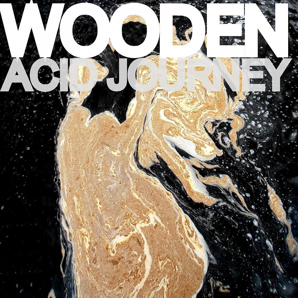 Постер альбома Acid Journey