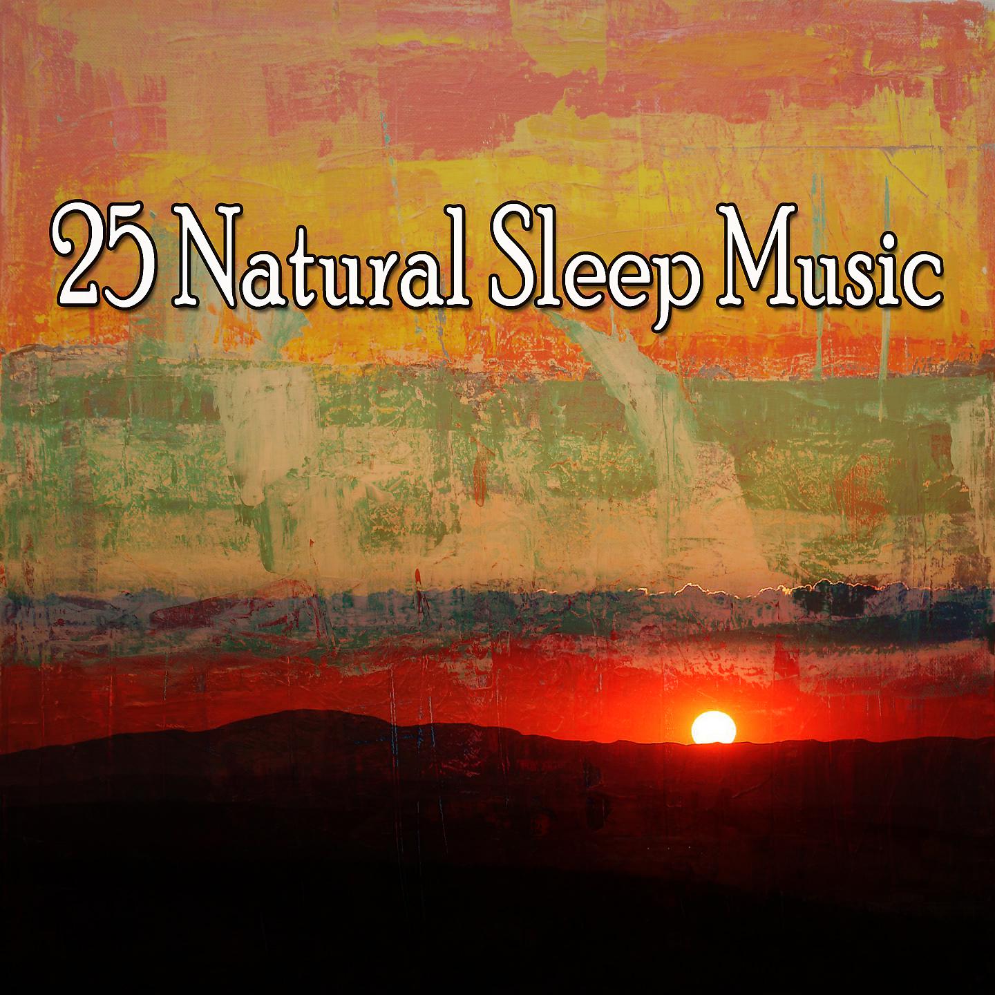 Постер альбома 25 Музыка для естественного сна