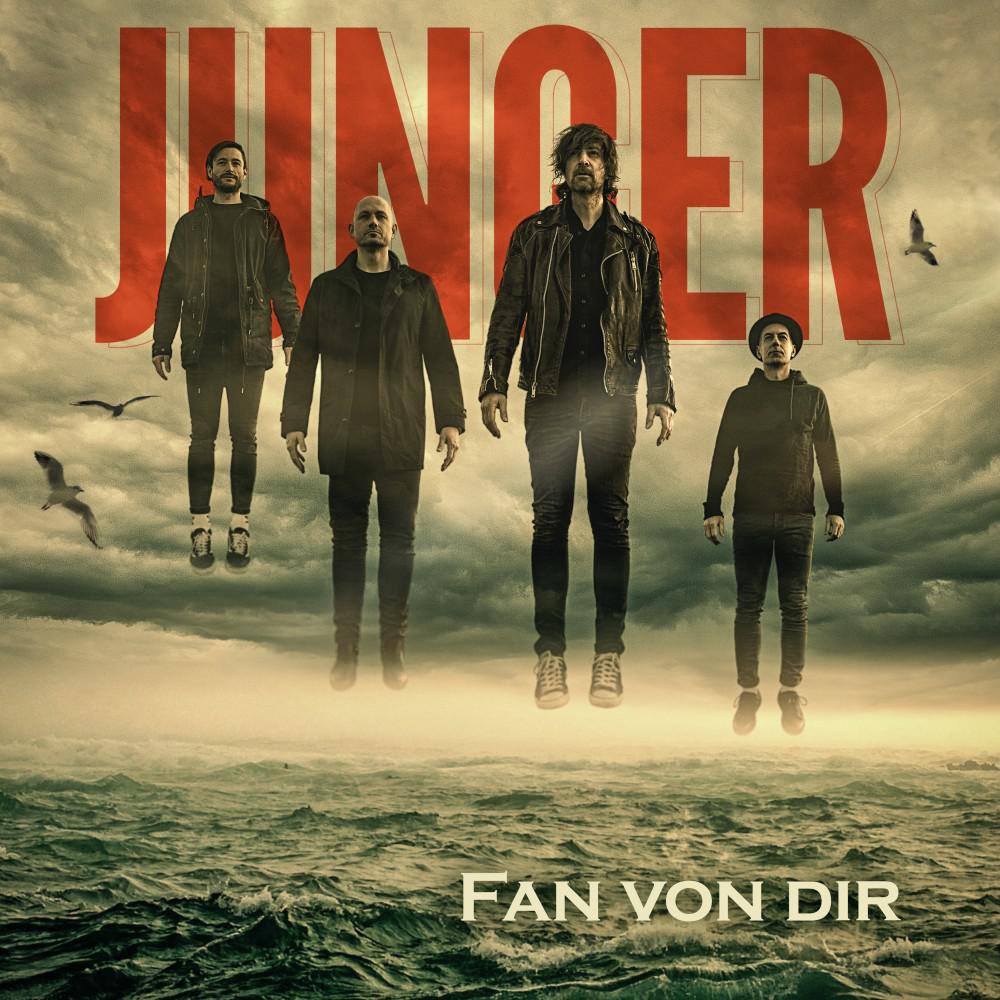 Постер альбома Fan von Dir