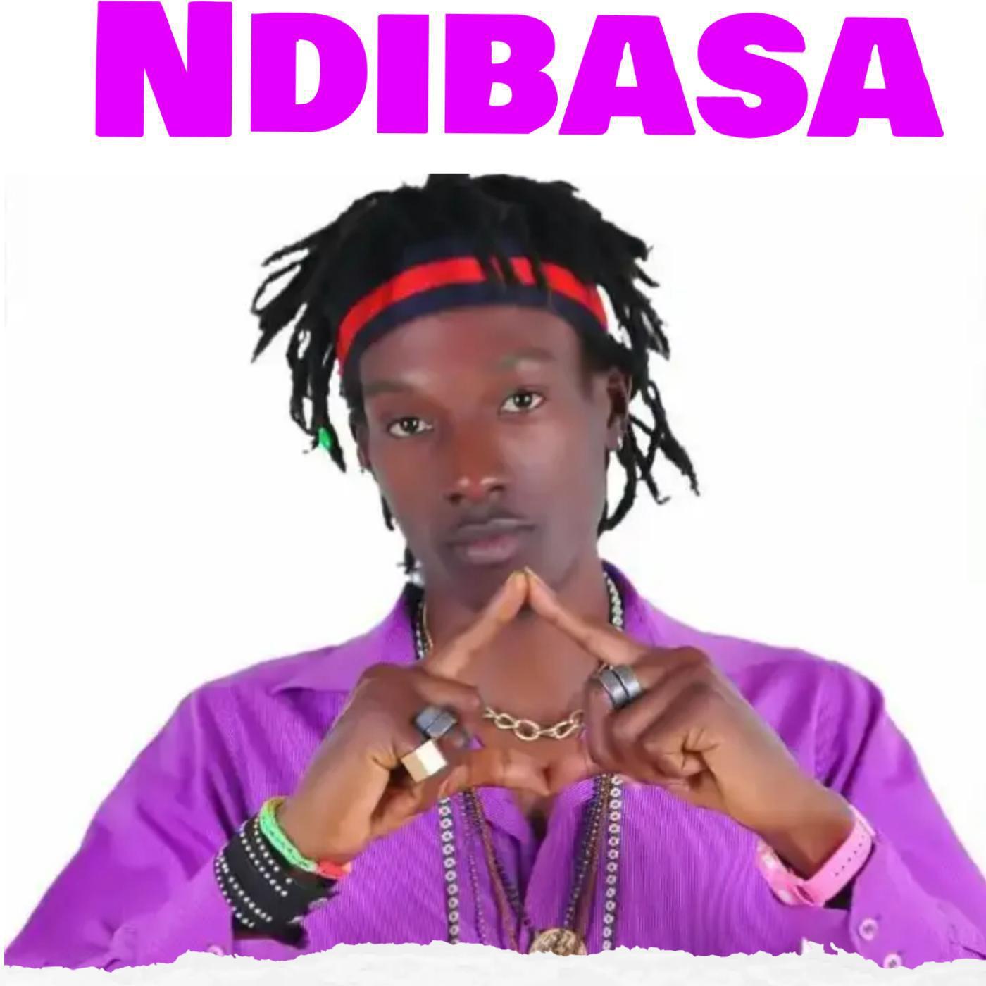 Постер альбома Ndibasa