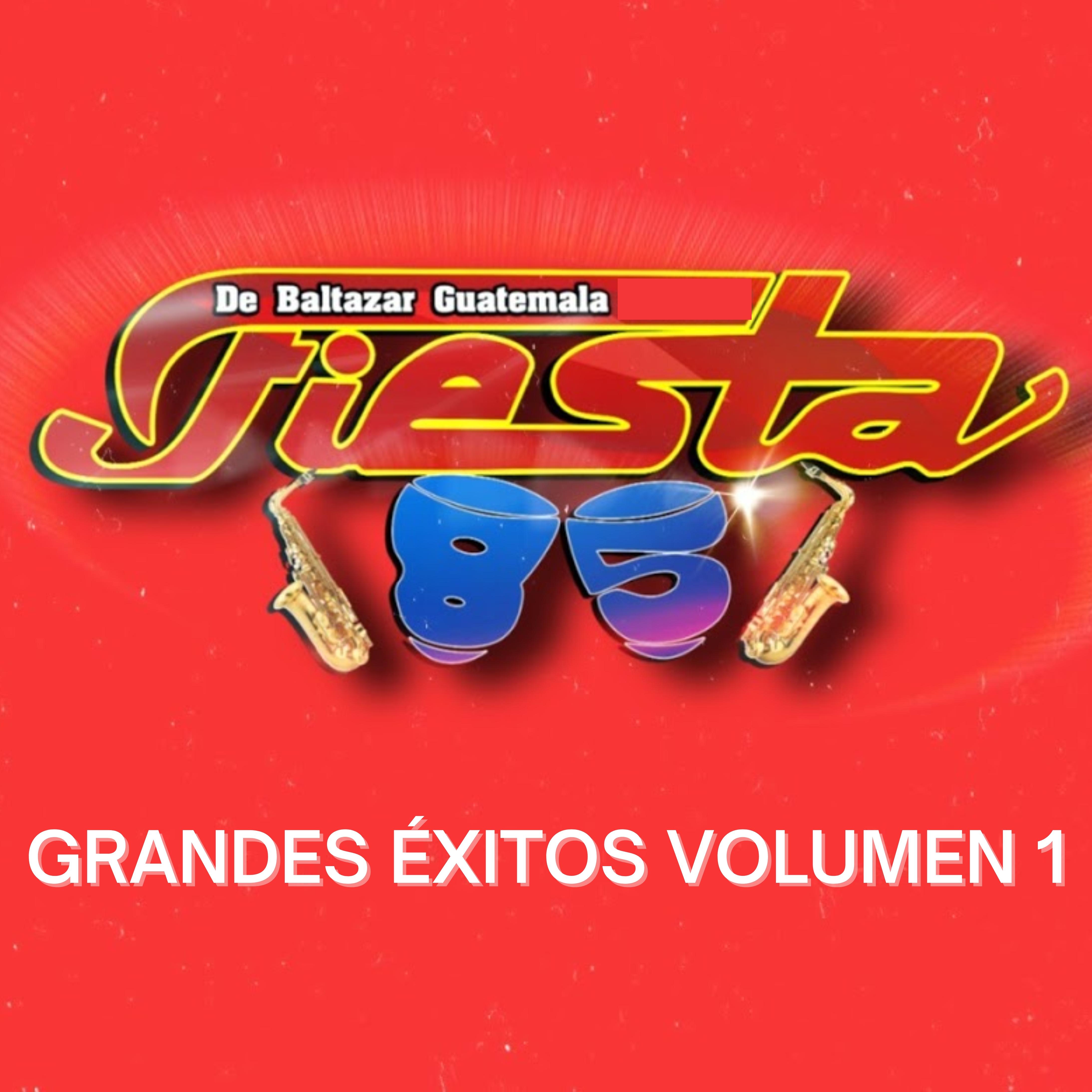 Постер альбома Grandes Éxitos Volumen 1